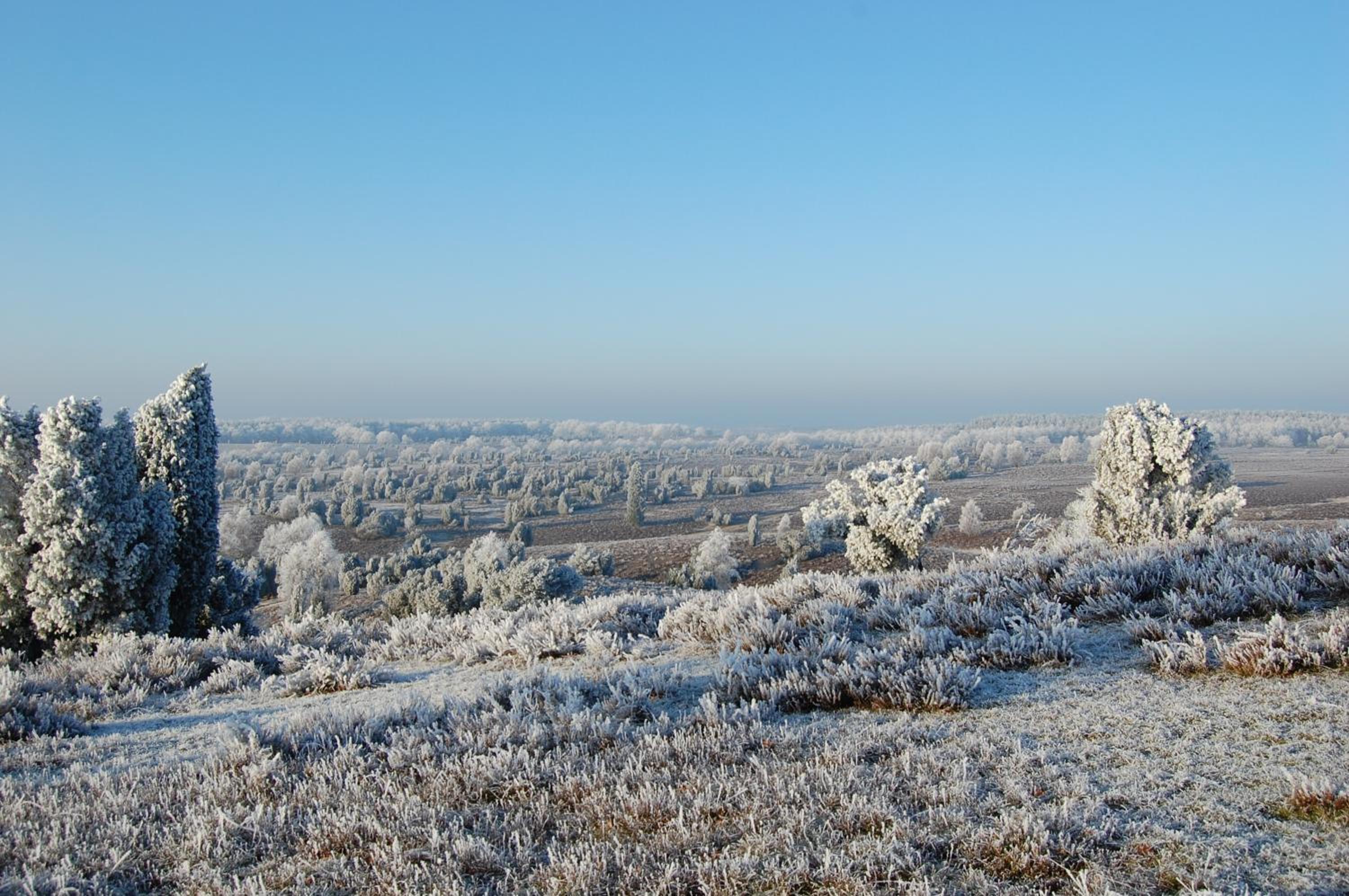 Ferienwohnung Heide View