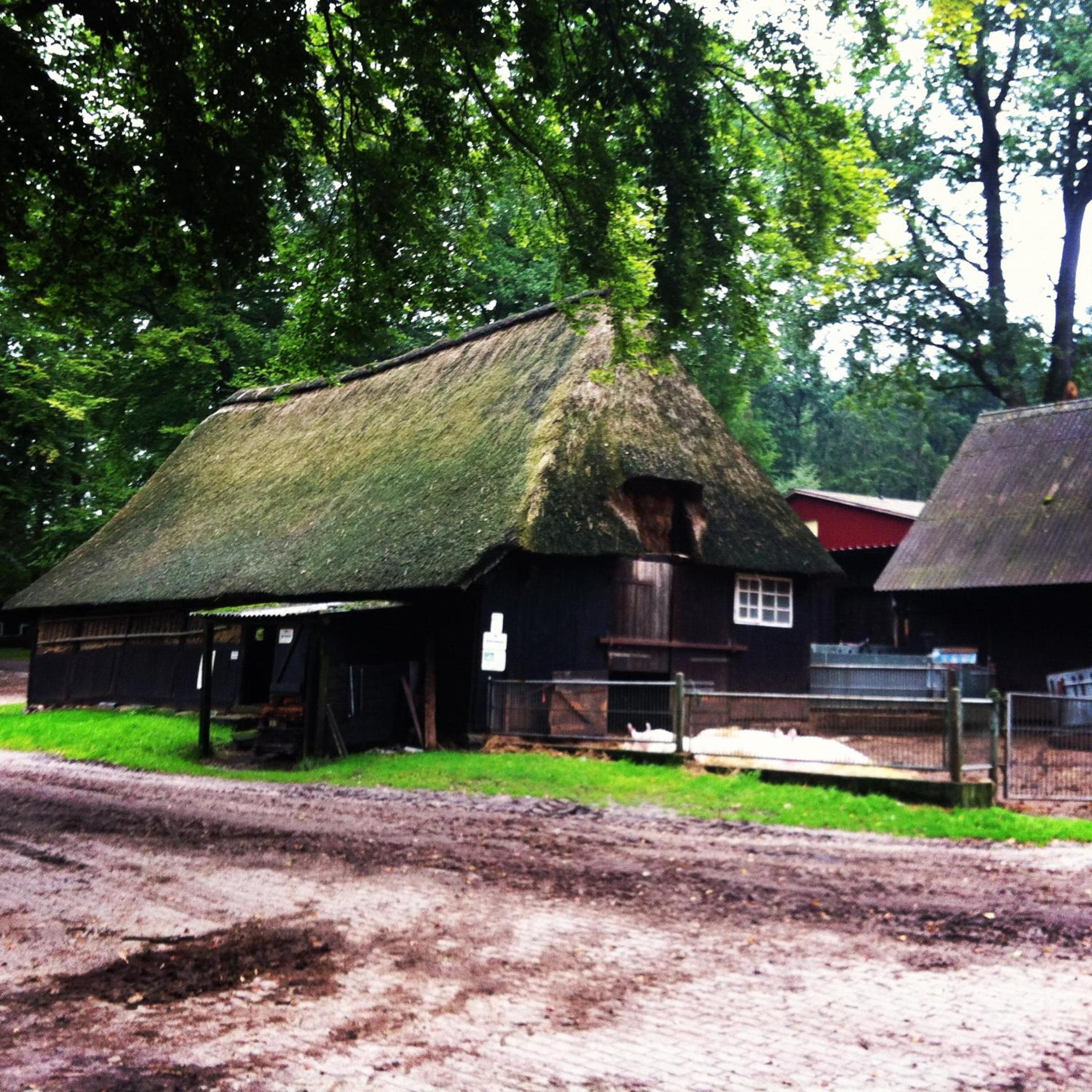Ferienwohnung Heide View