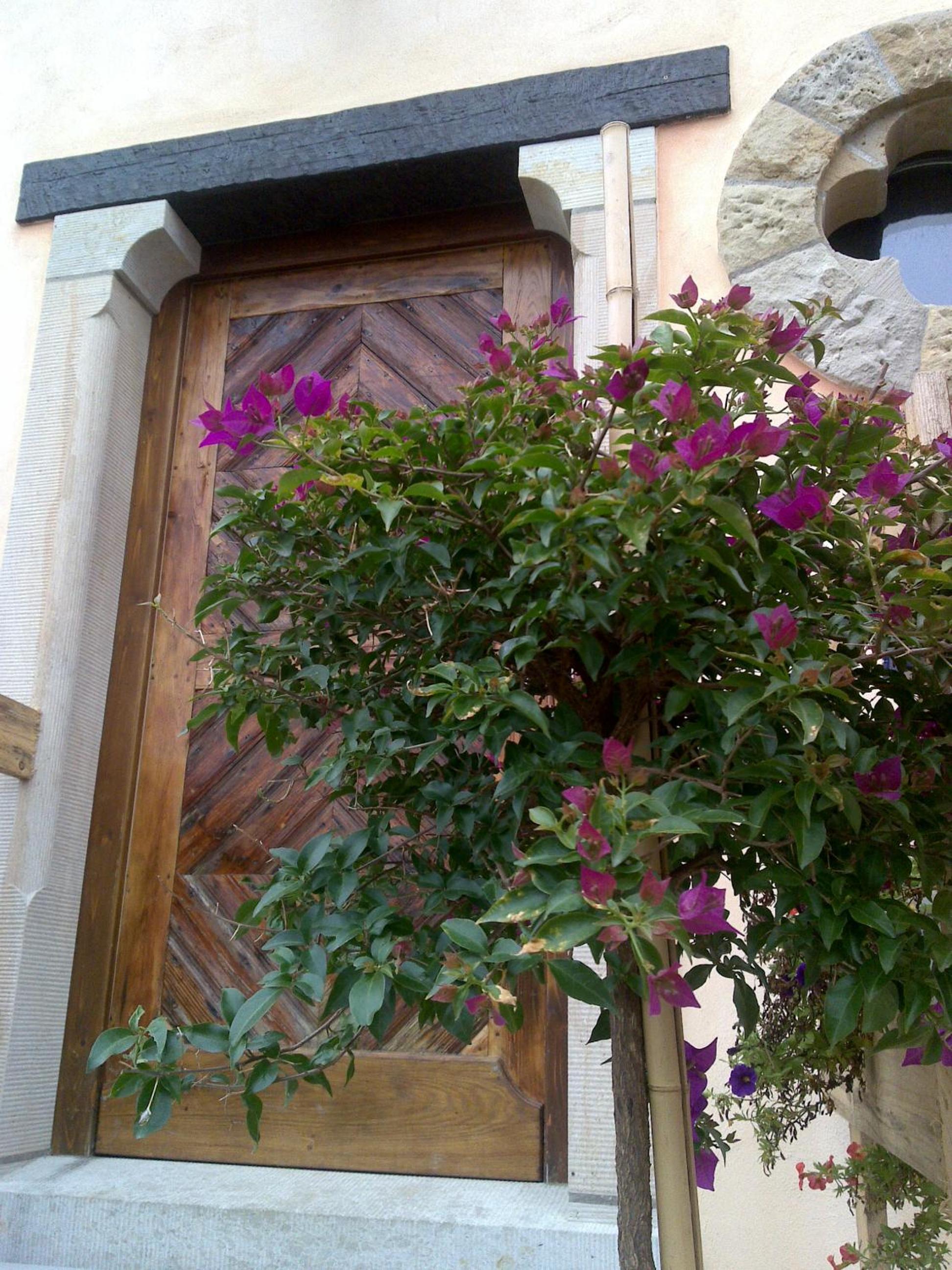 Photo 24