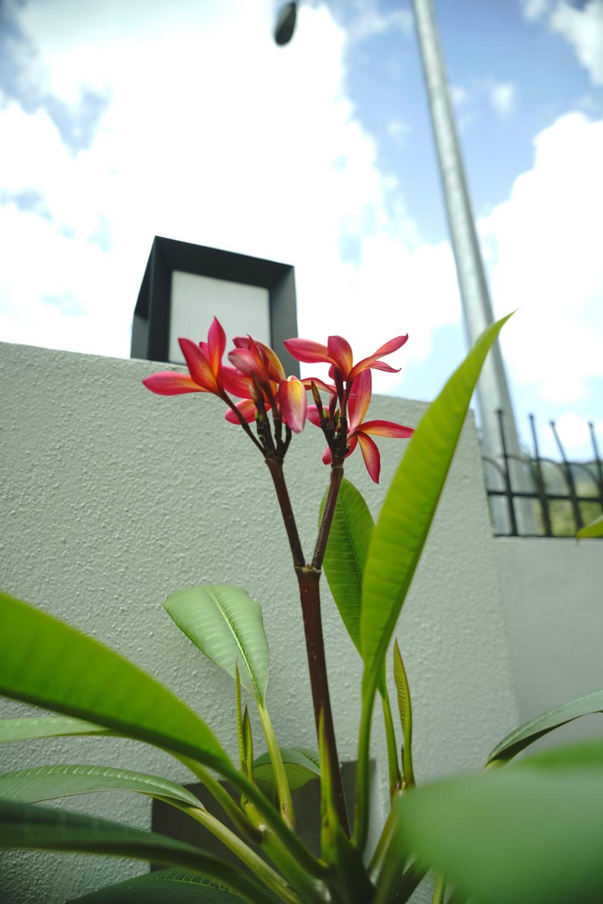 De Nest Holiday home photo 5