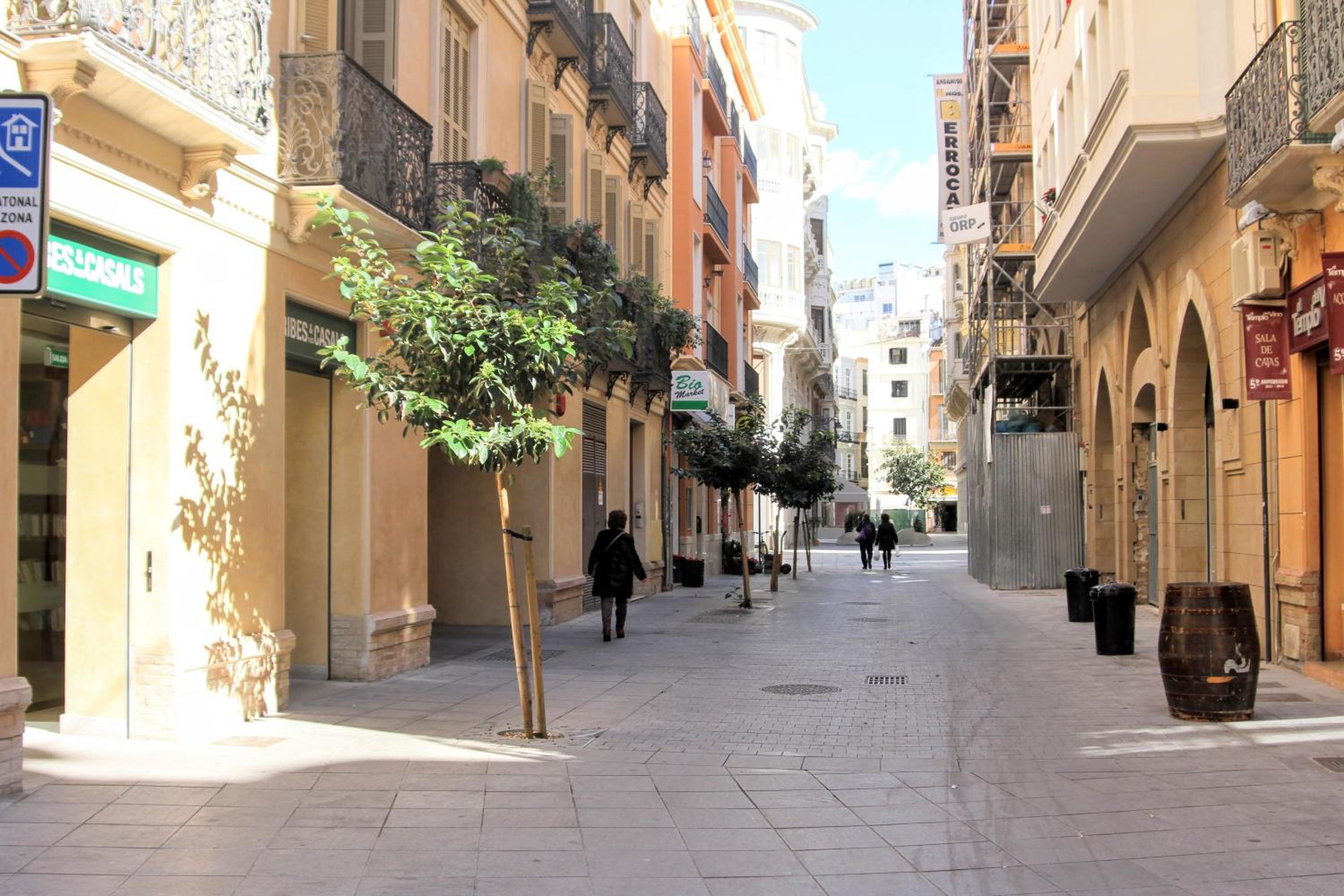 Homely Málaga Atarazanas
