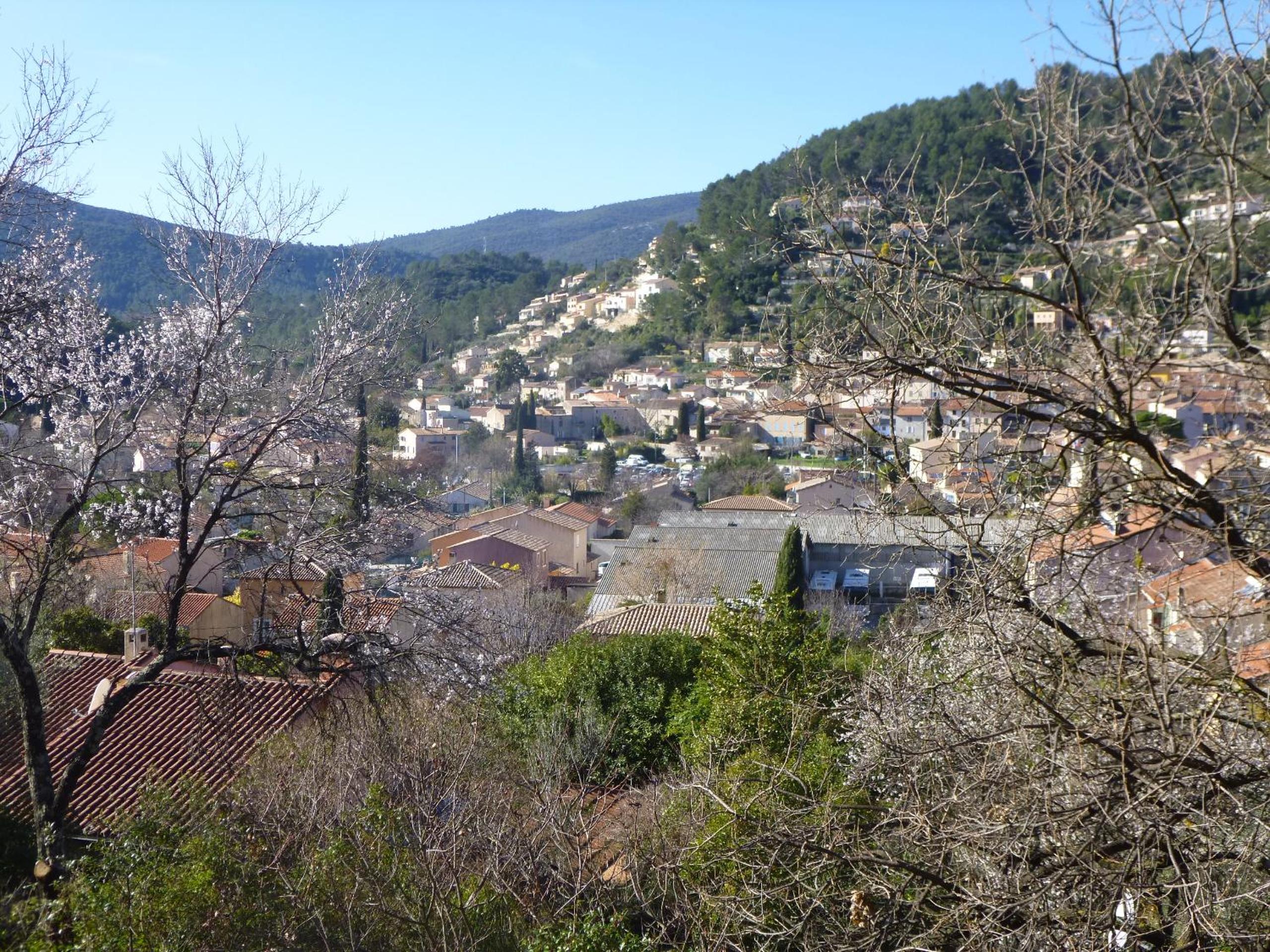 Photo 18
