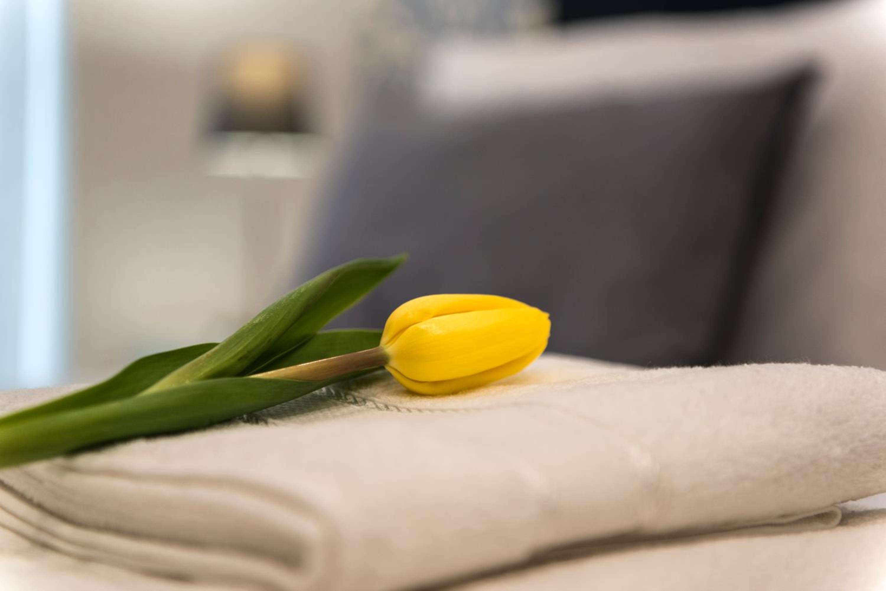 lungomare rooms
