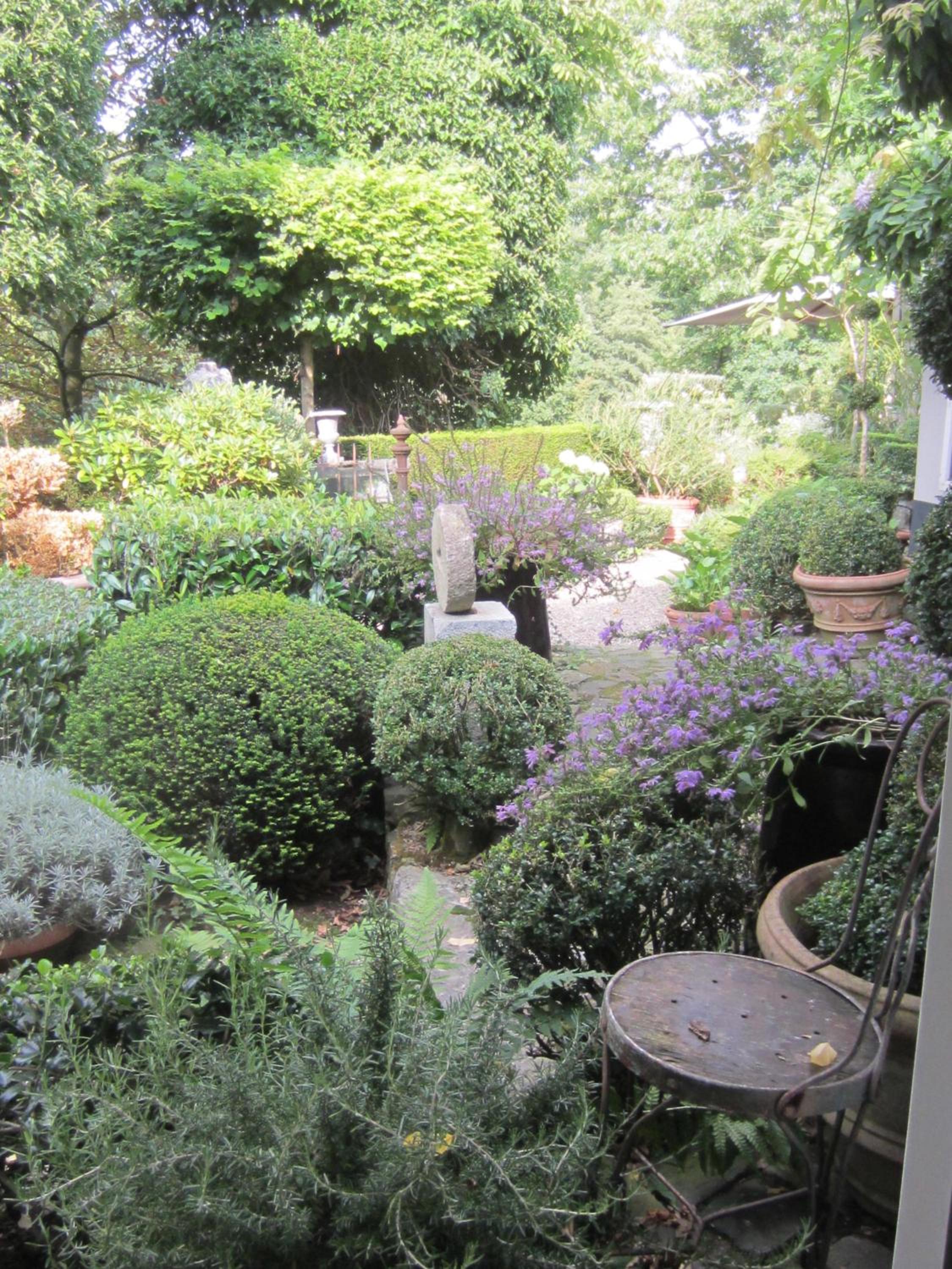 Photo 19