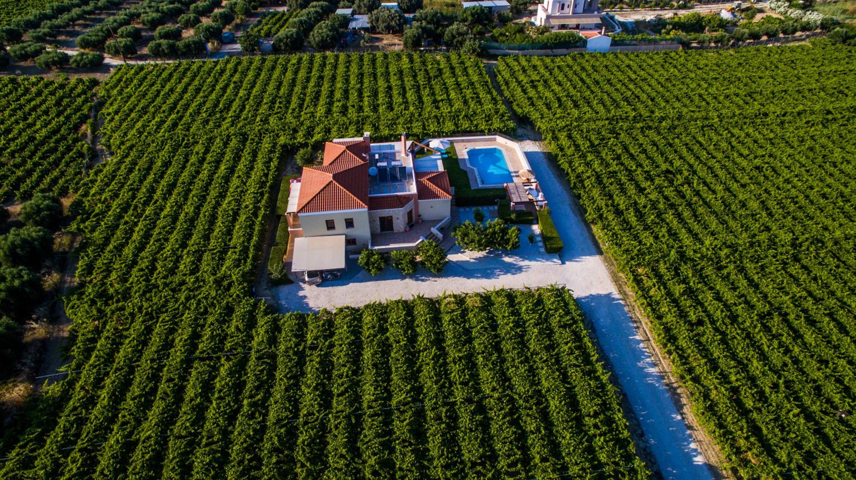 Cretan Vineyard Hill Villa view 2