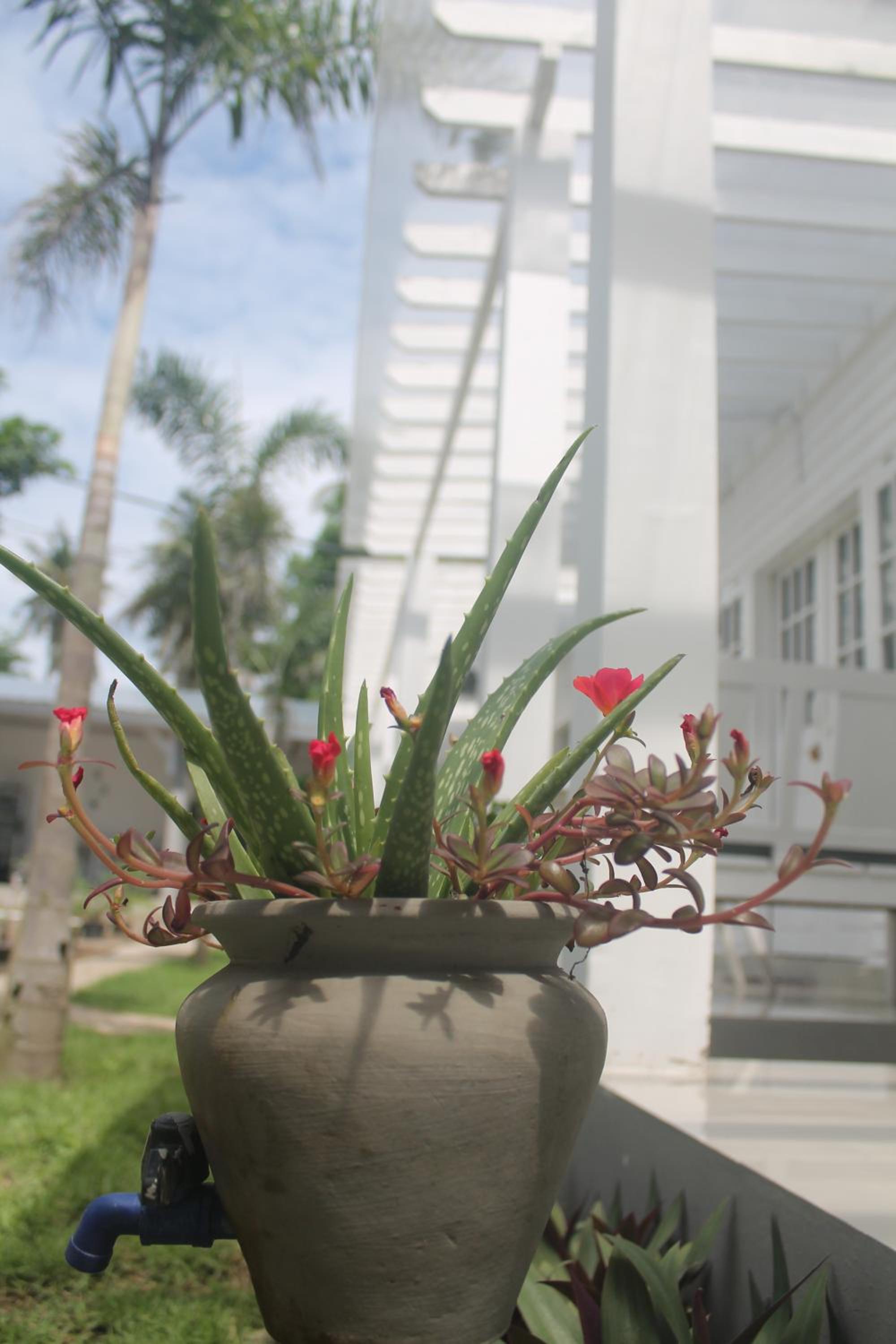Casa Blanca Gili Air
