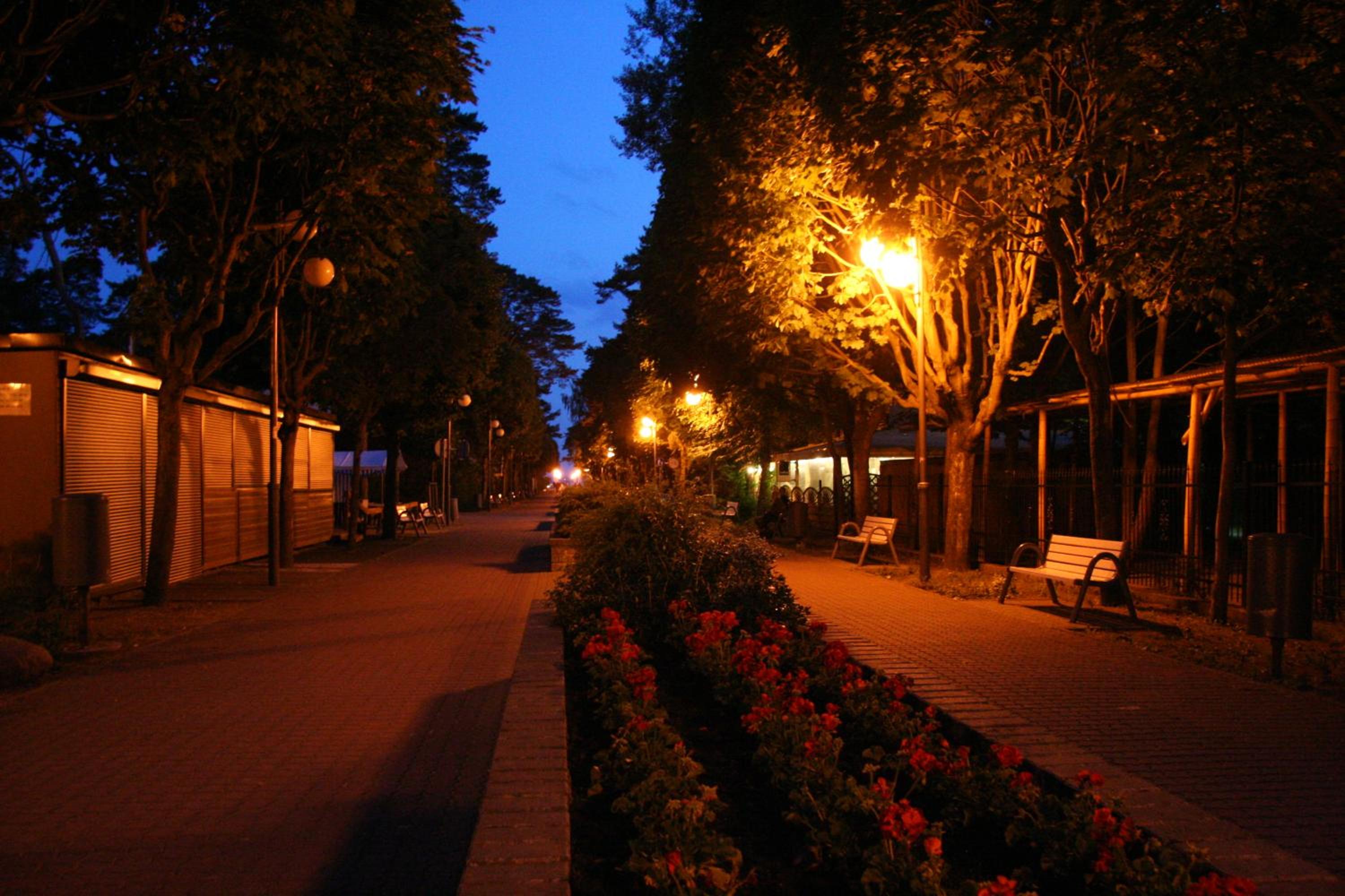 Photo 33
