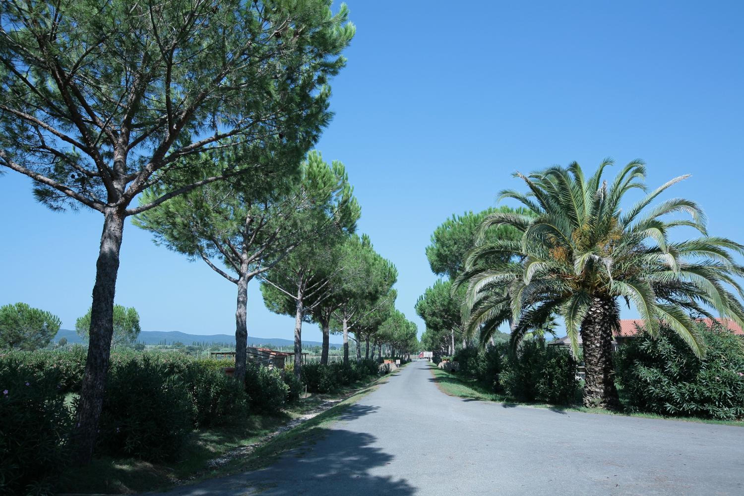 Agriturismo Cannavota
