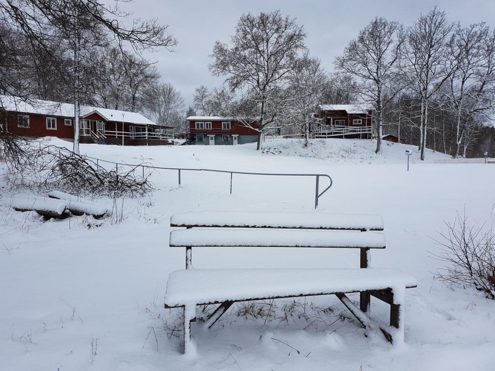Den Sovande Älgen
