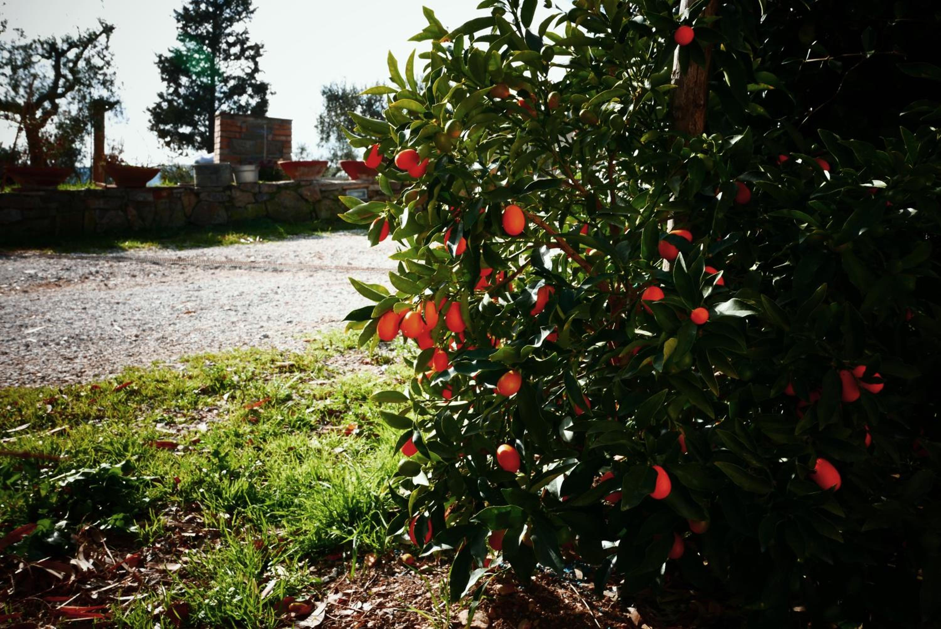 Agriturismo Baratti