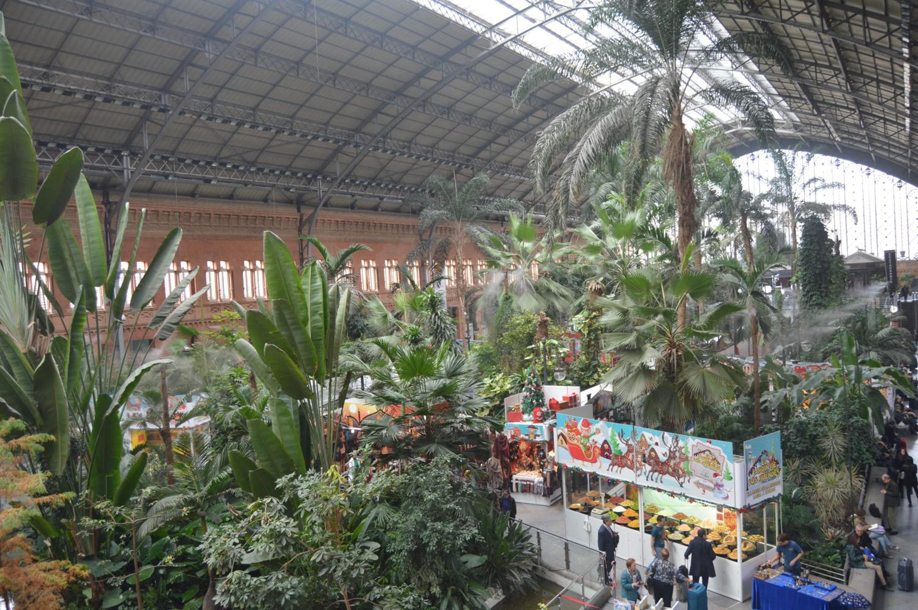 Ever House Atocha view 2