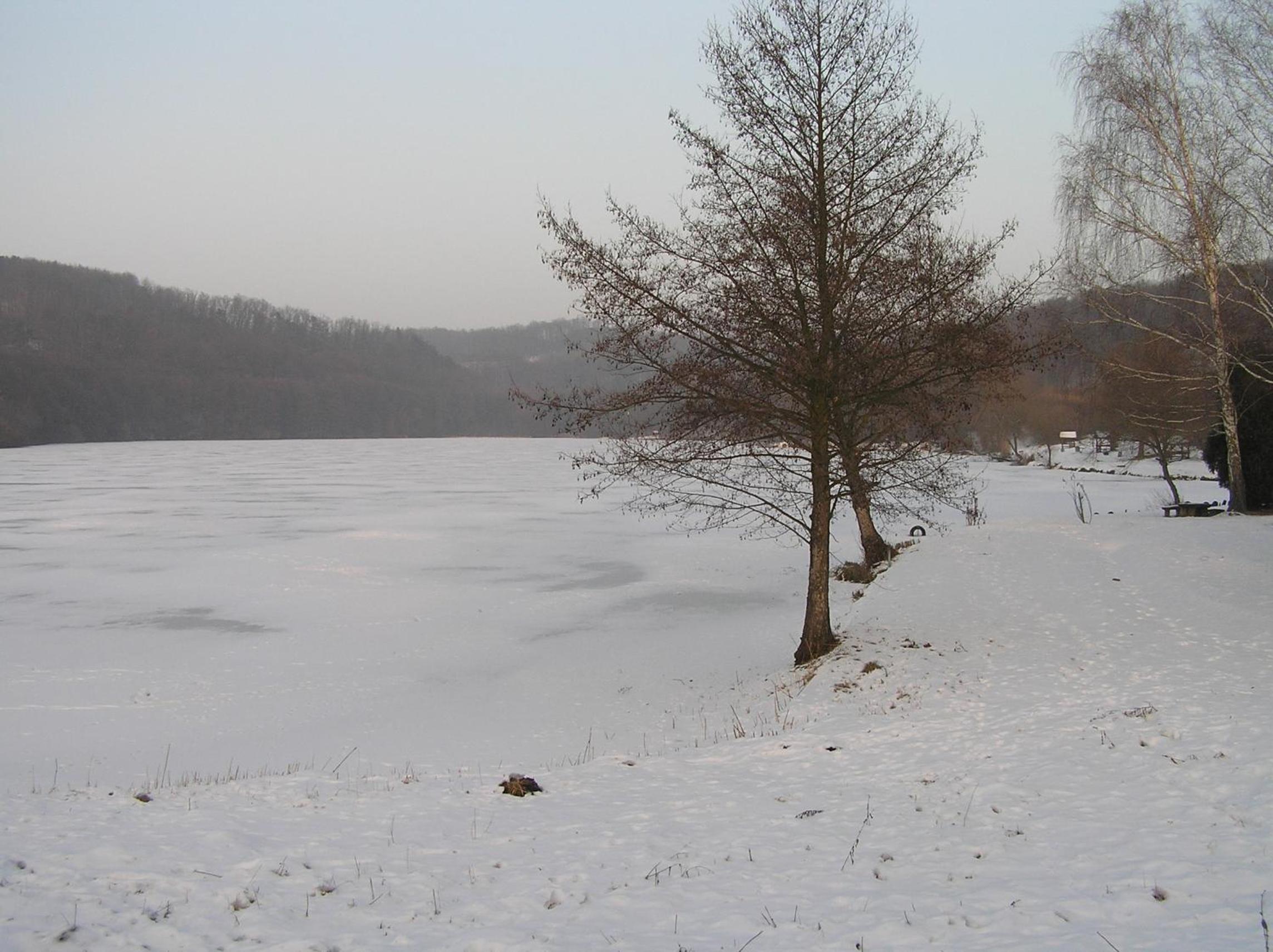 Photo 24