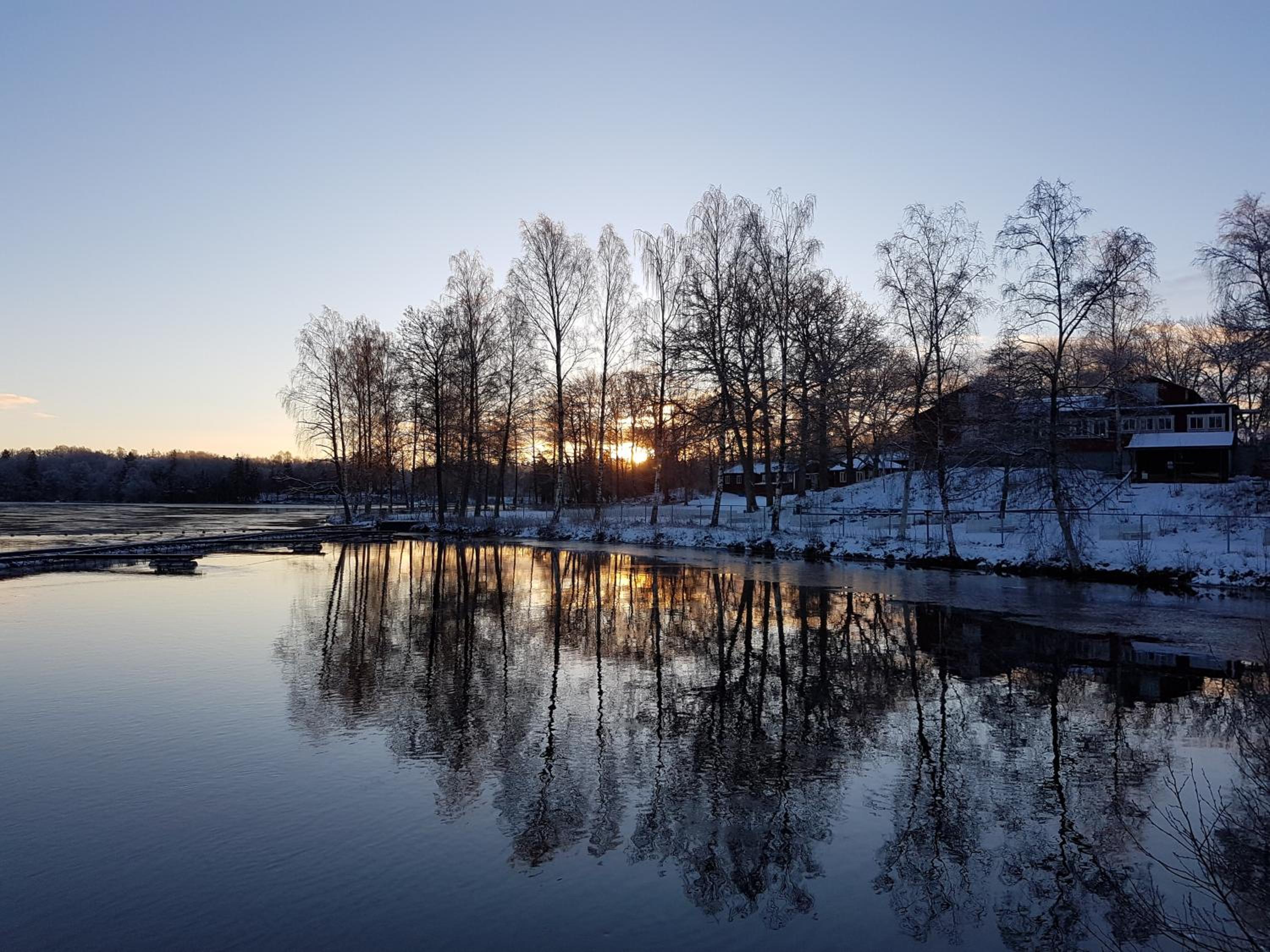 Den Sovande Älgen