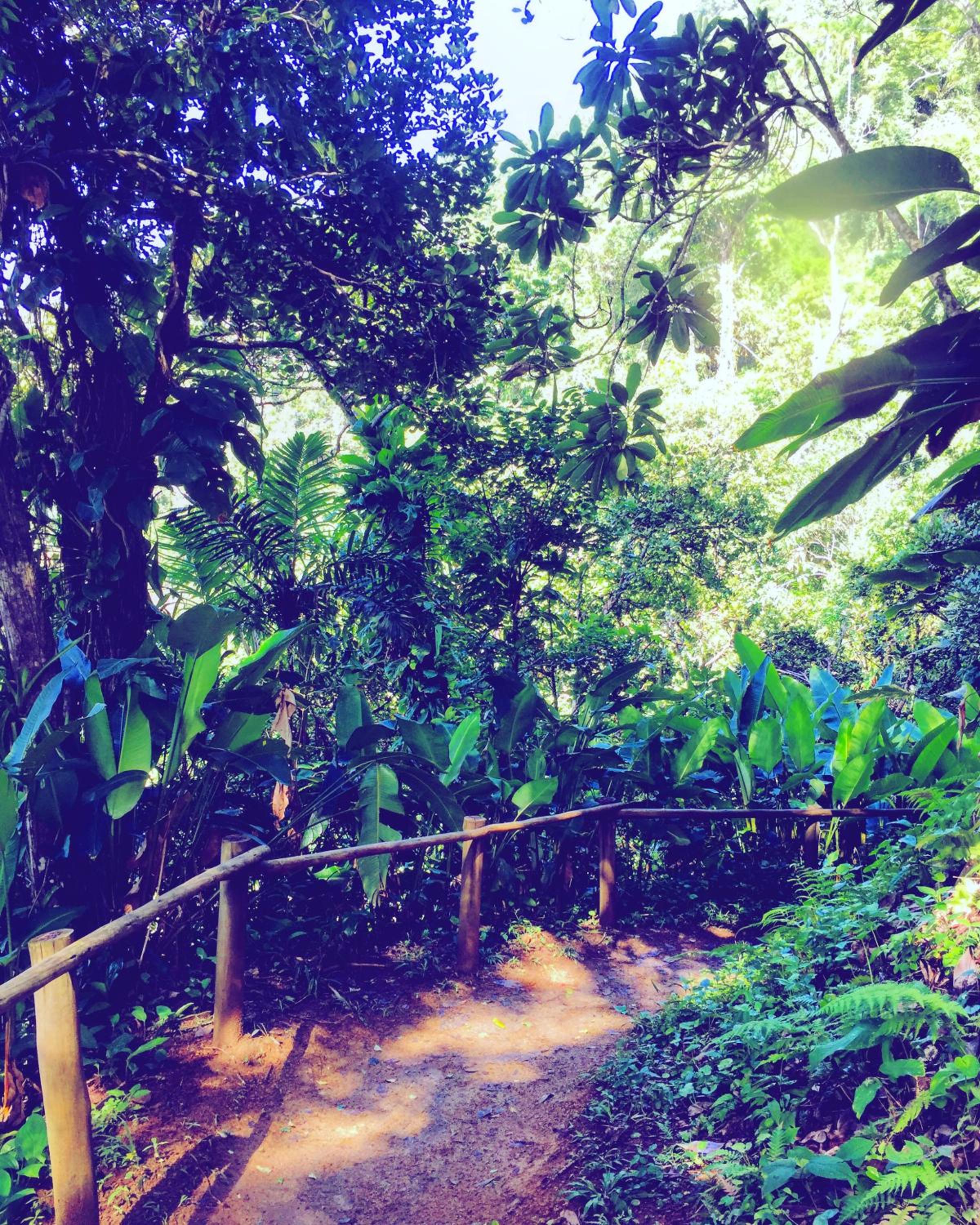 FLORA Praia do Sono Lodge & Trekking