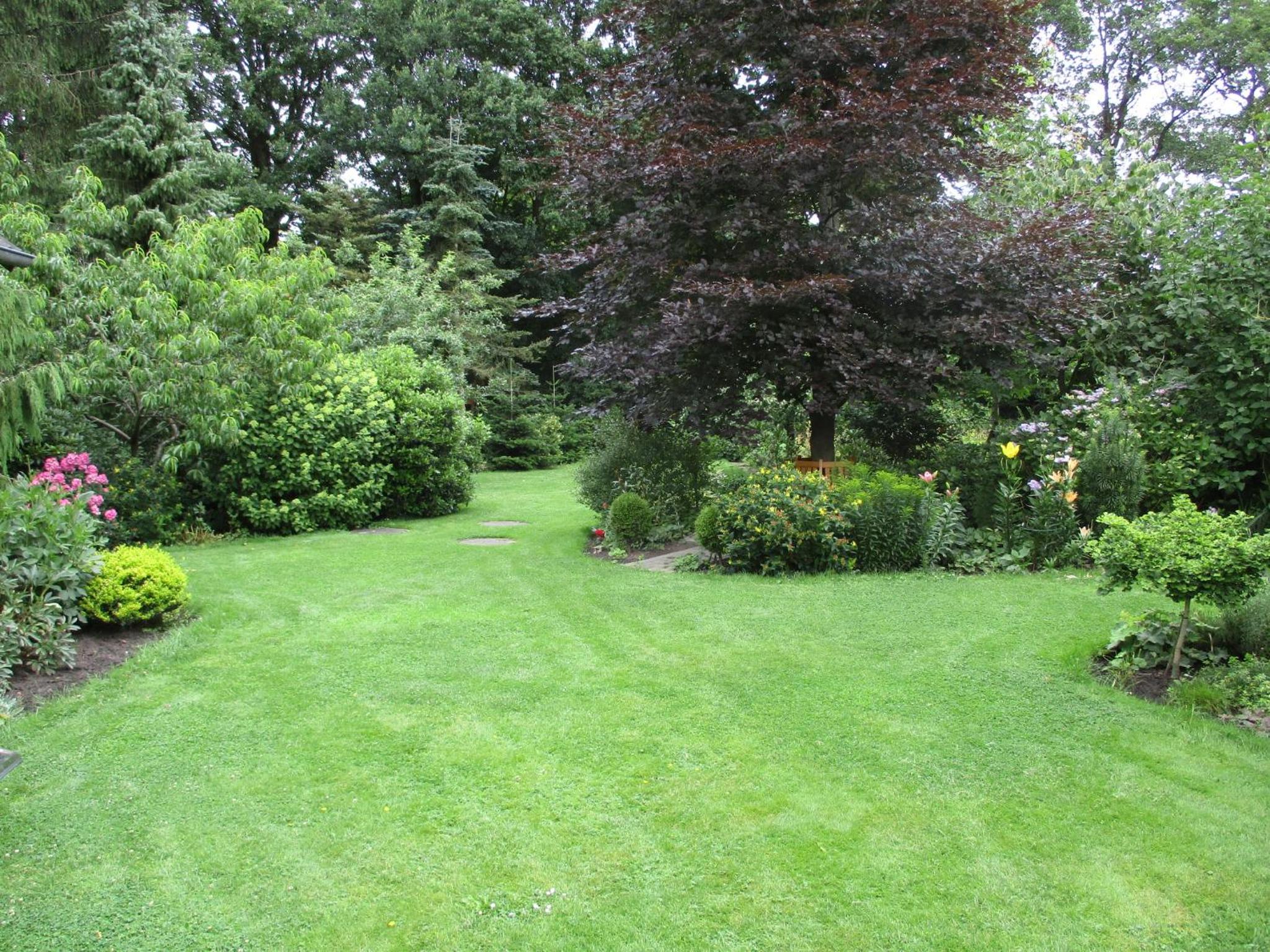 Photo 38