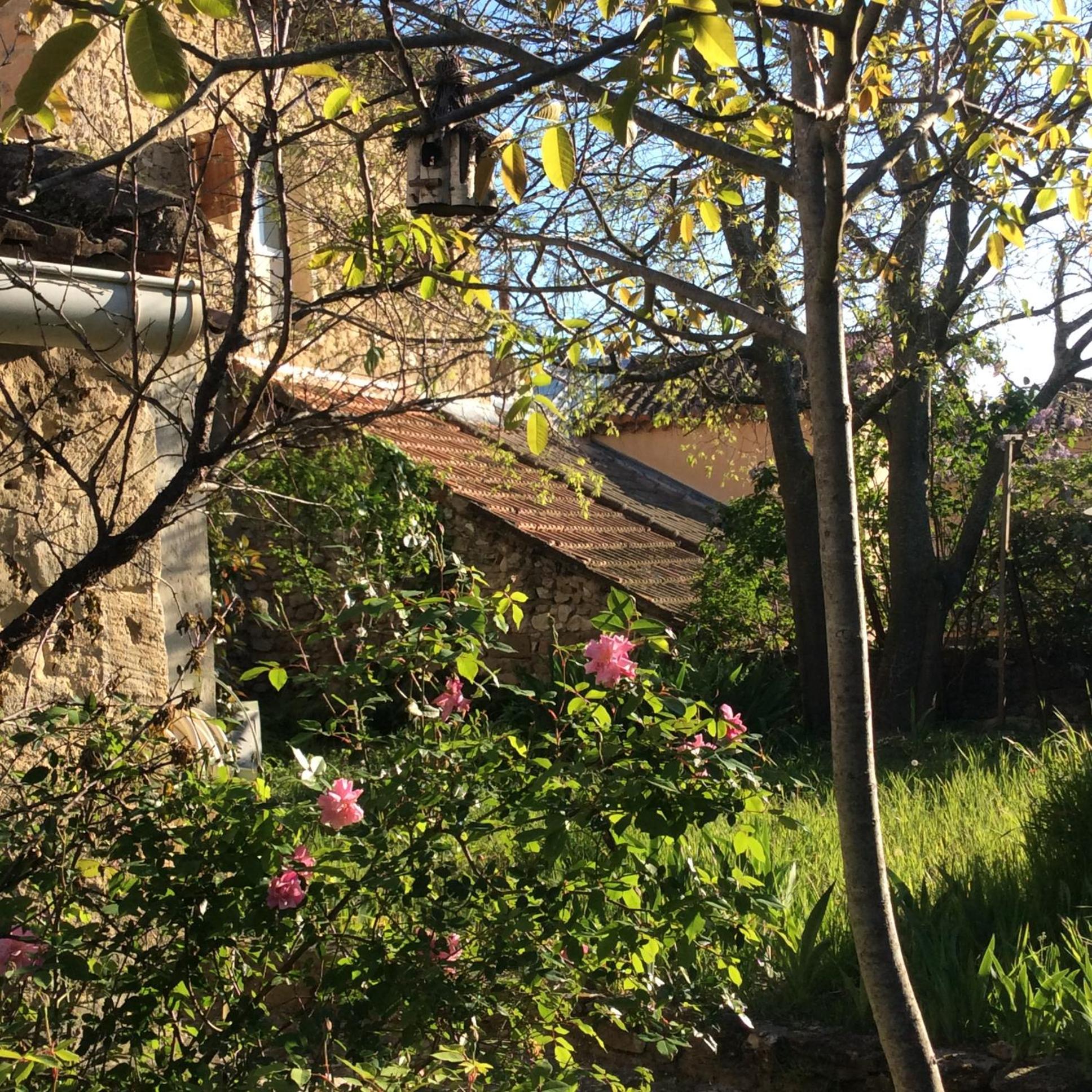 Photo 14
