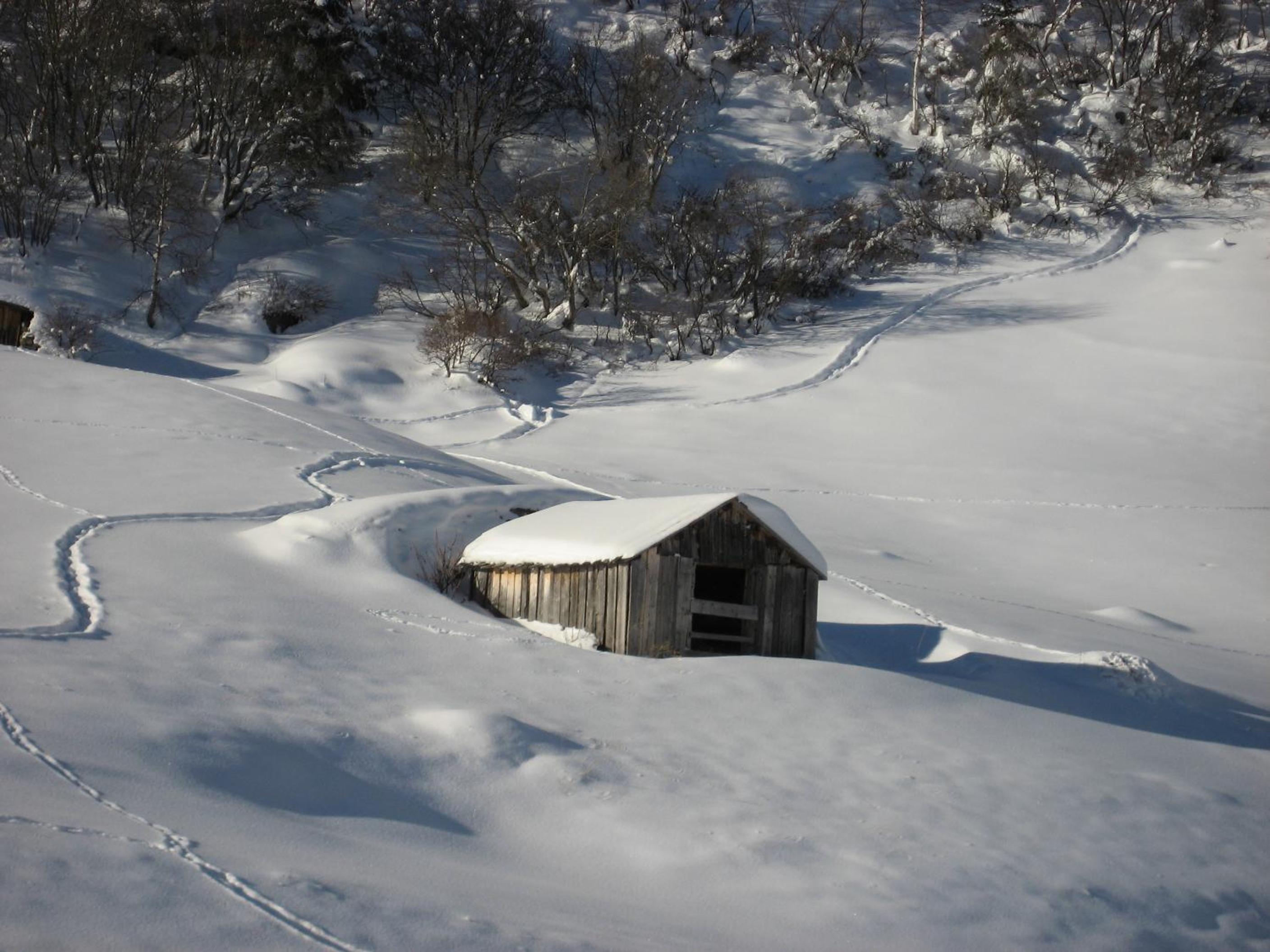 Photo 20