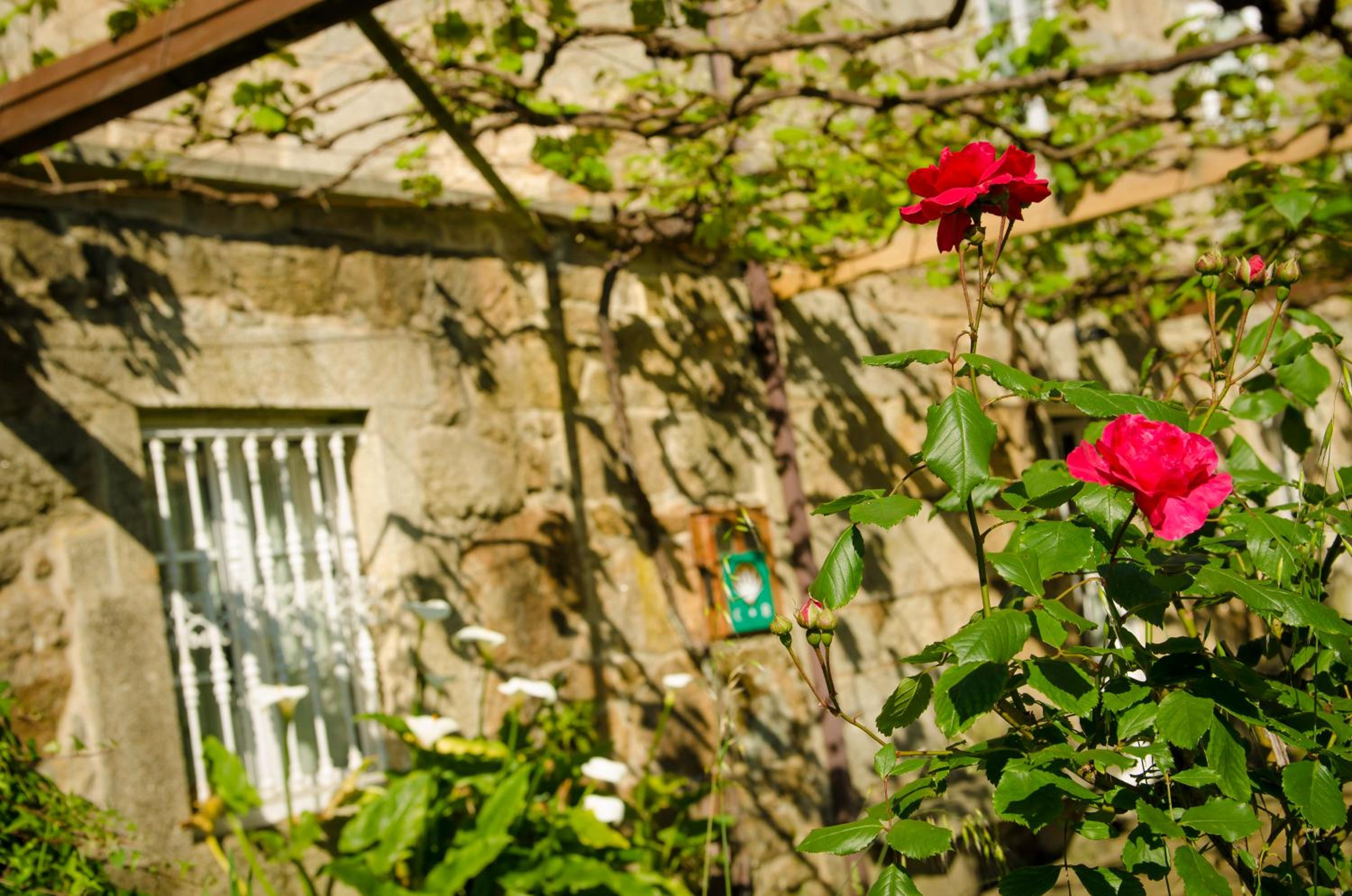 Casa de Turismo Rural Os Petroglifos