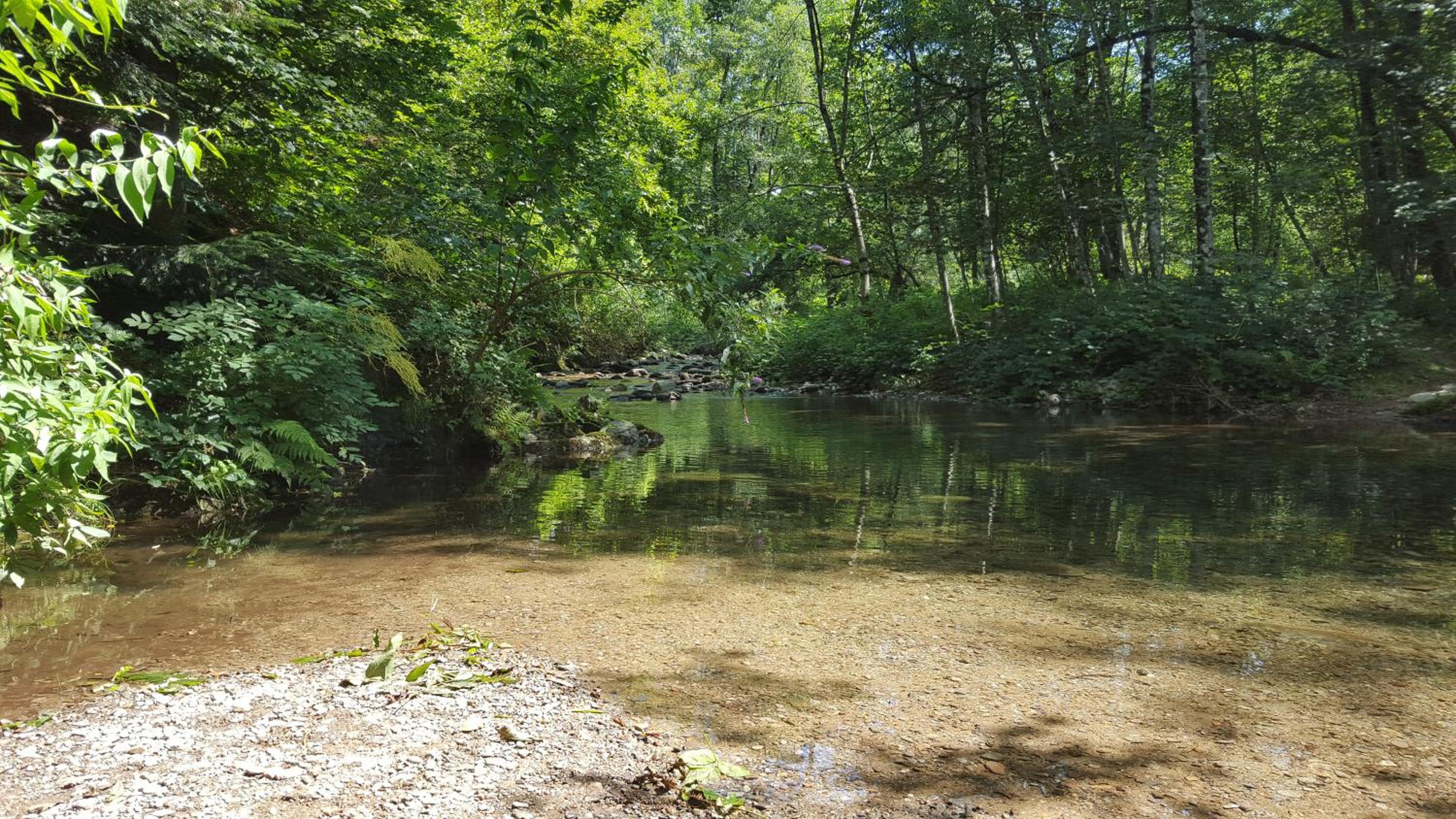 Rustico view 2