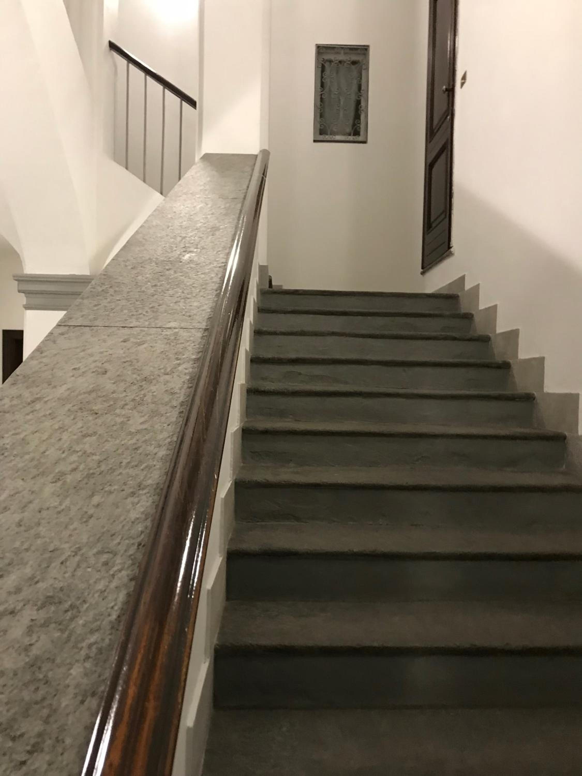 Rapanus Suites