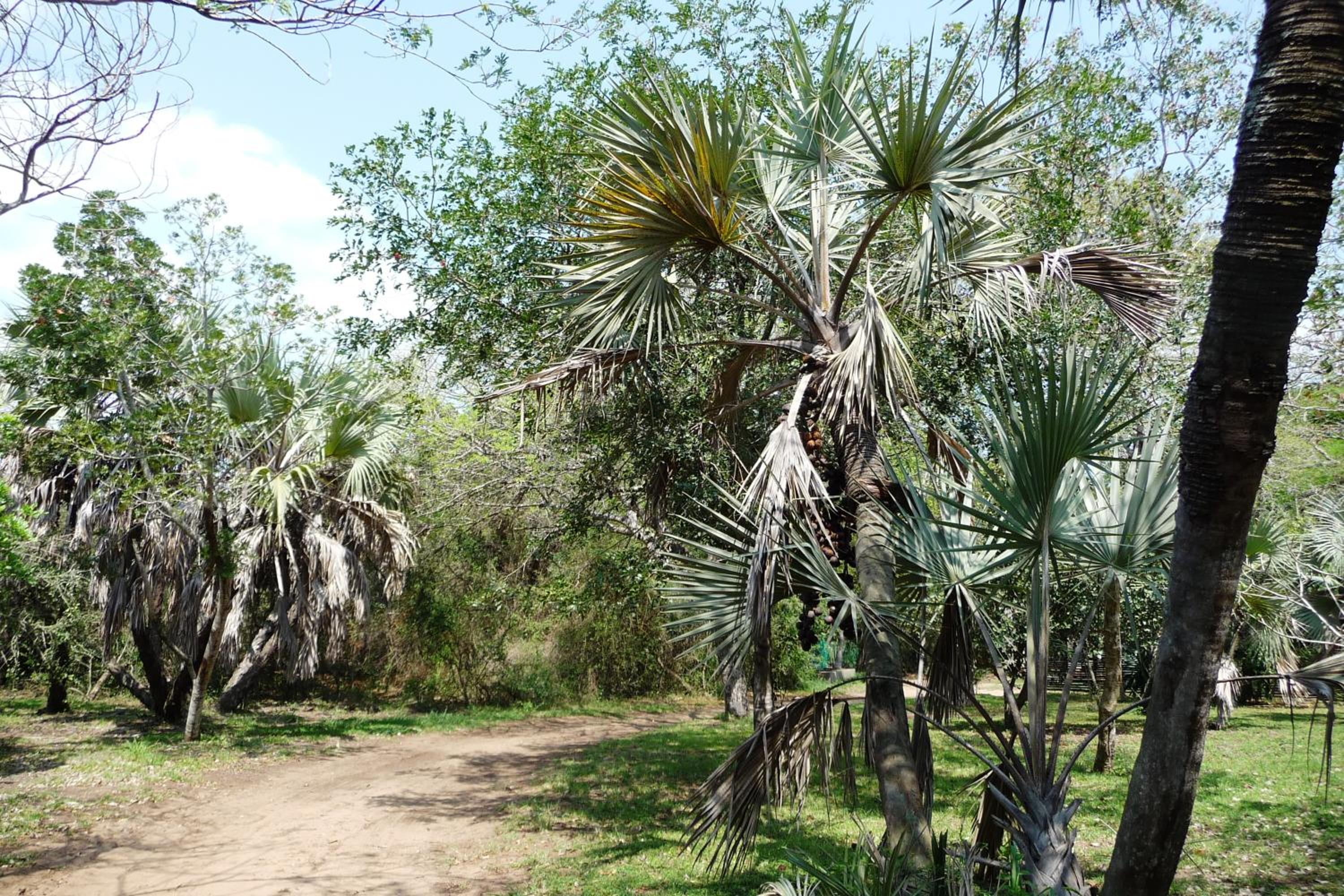 Isinkwe Bush Camp view 2