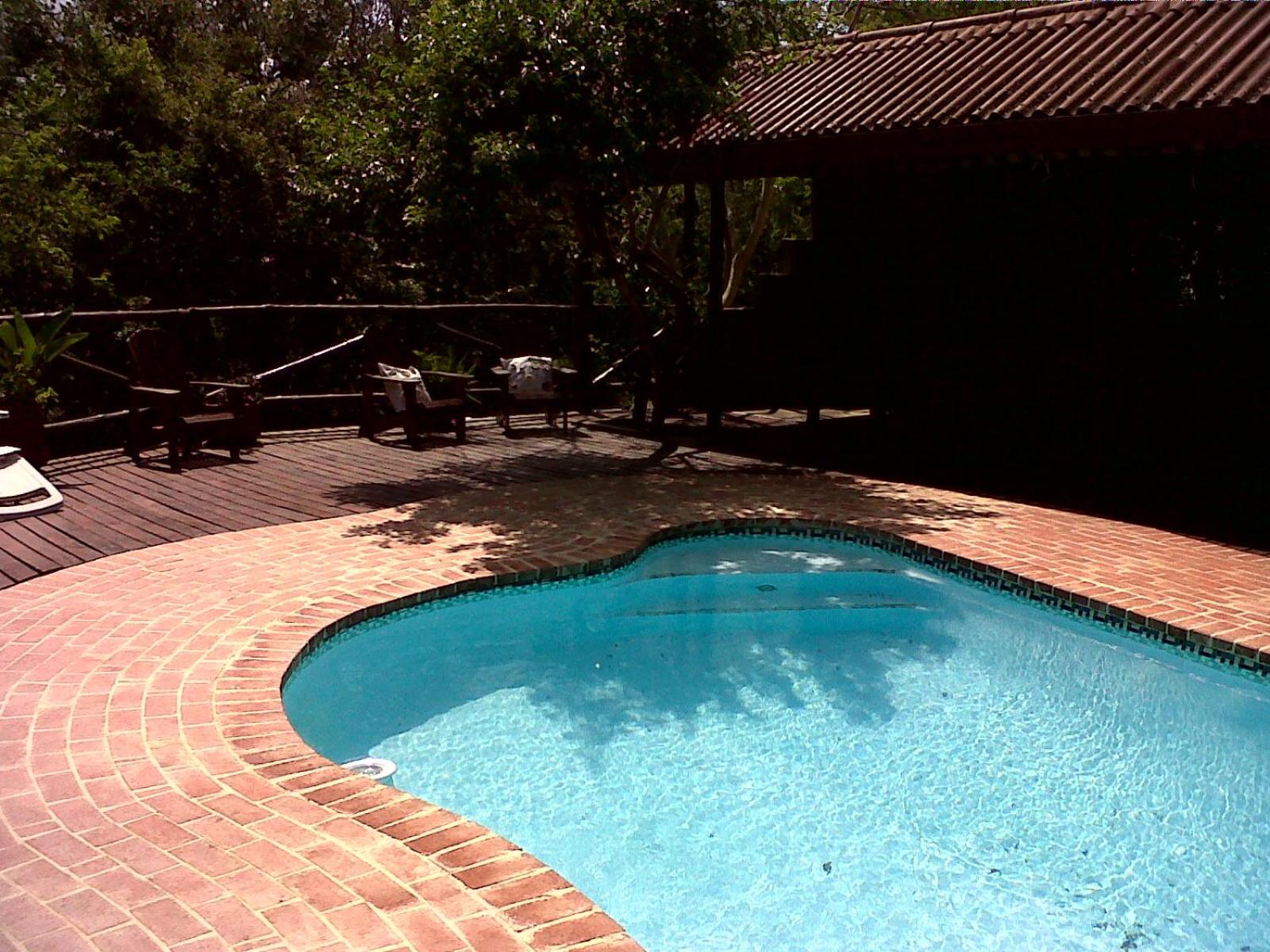 Photo 45