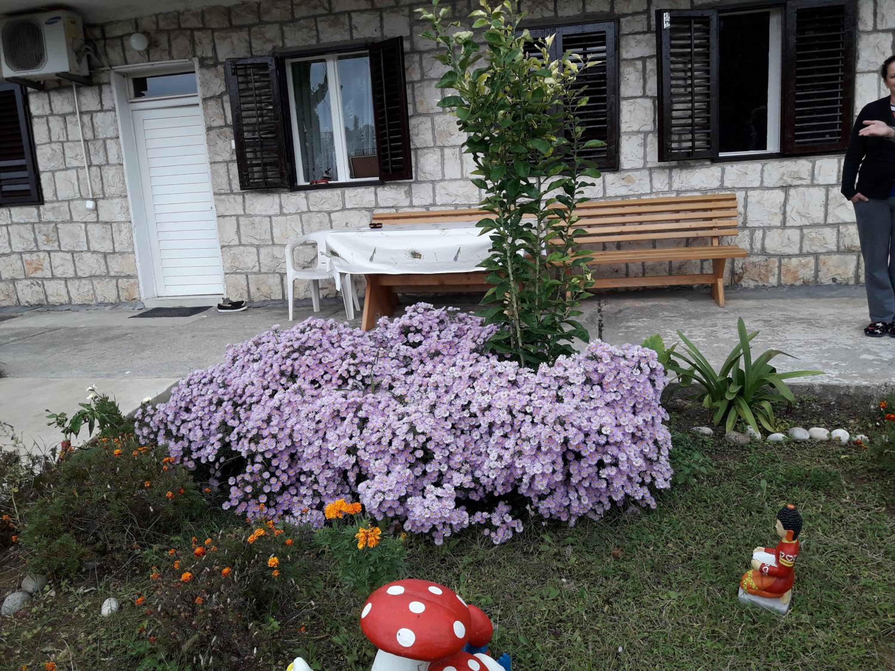 Photo 27