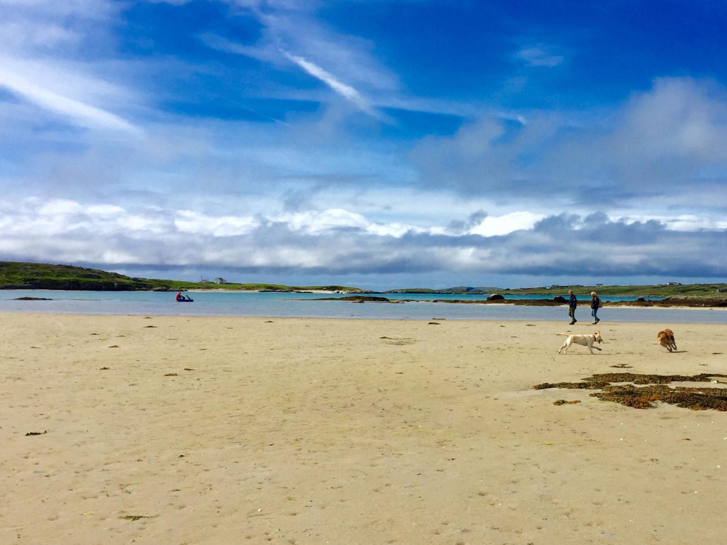 Apartment 263 - Clifden view 3