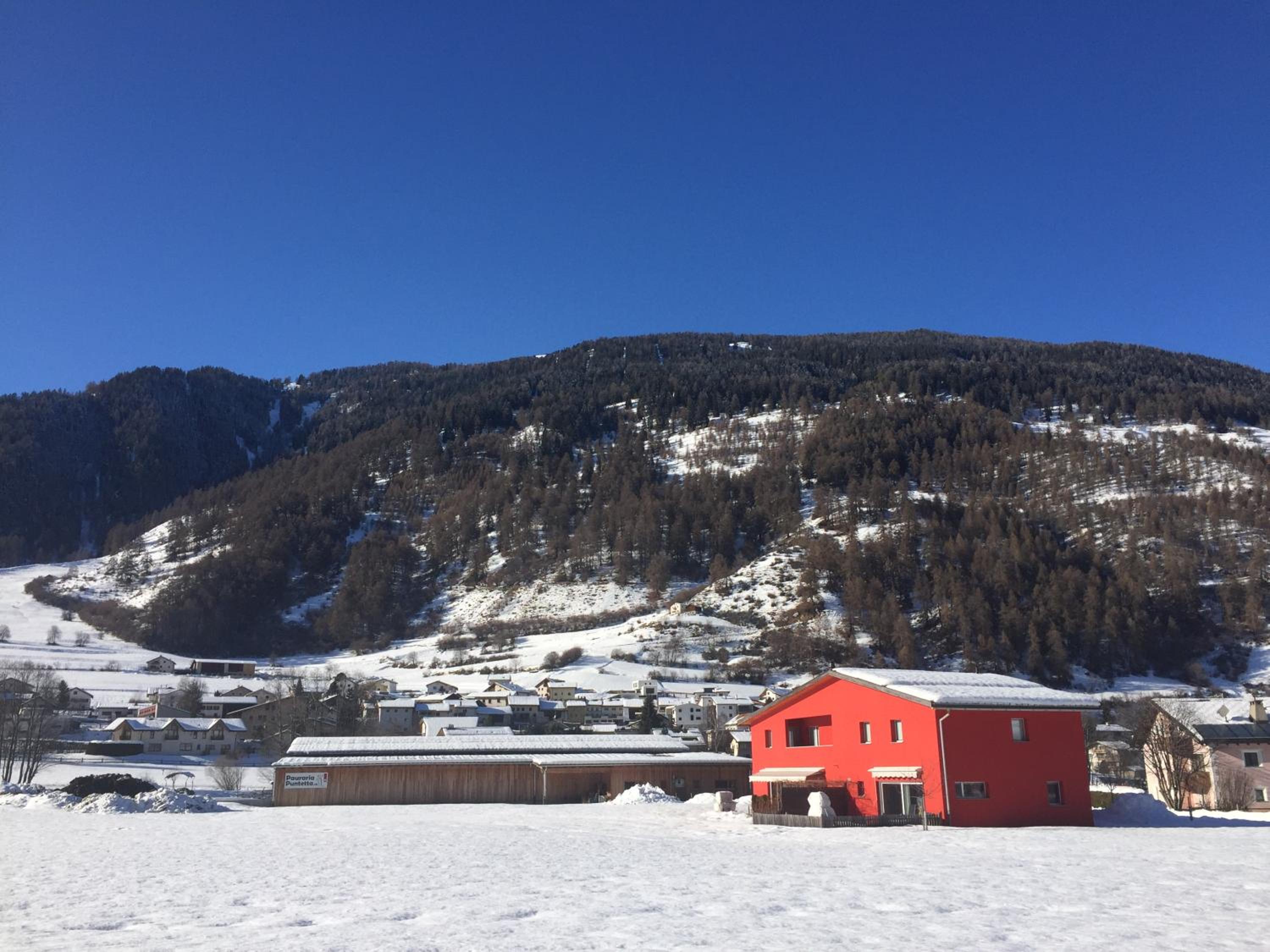 Pauraria Puntetta view 4