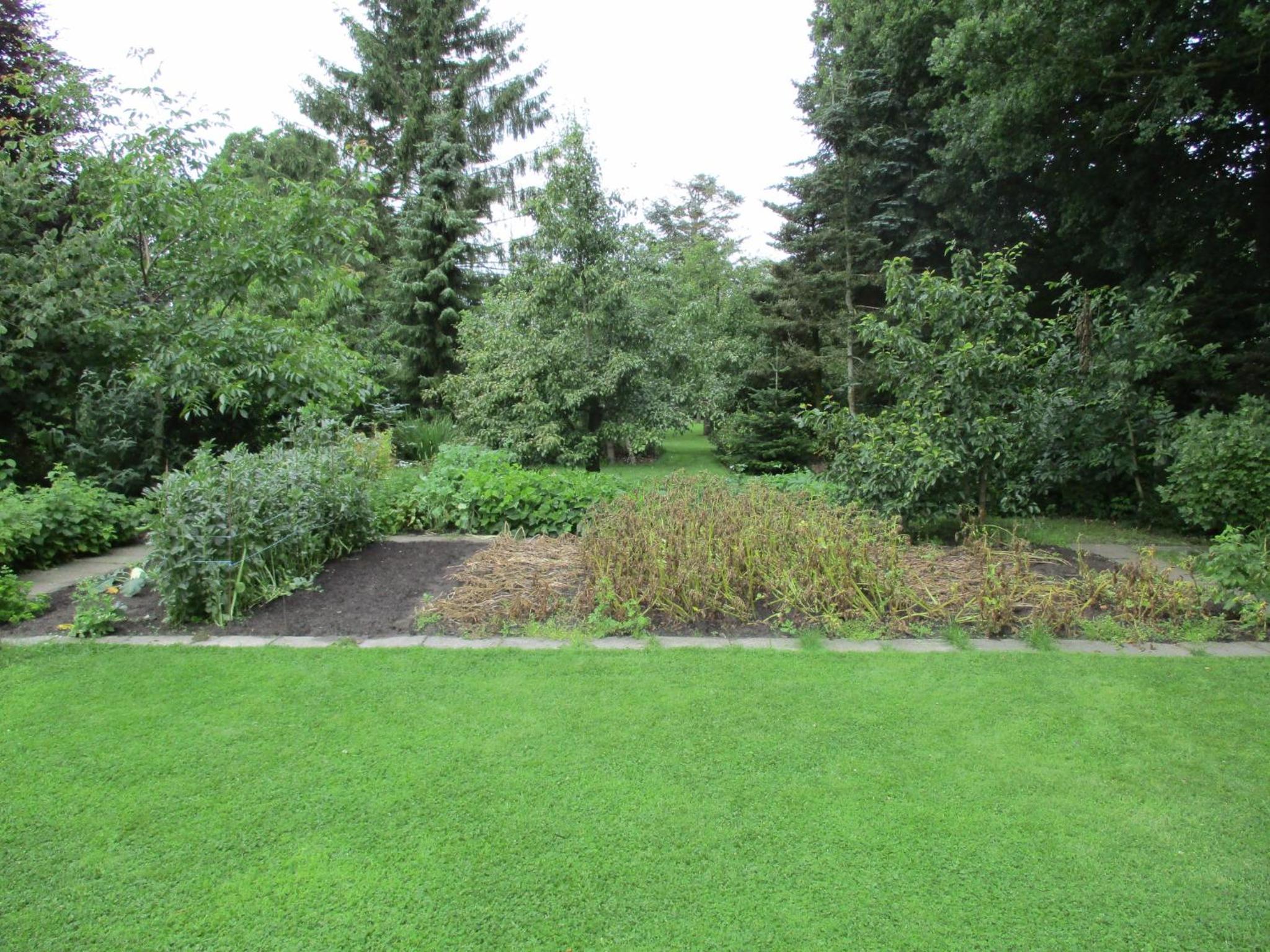 Photo 36