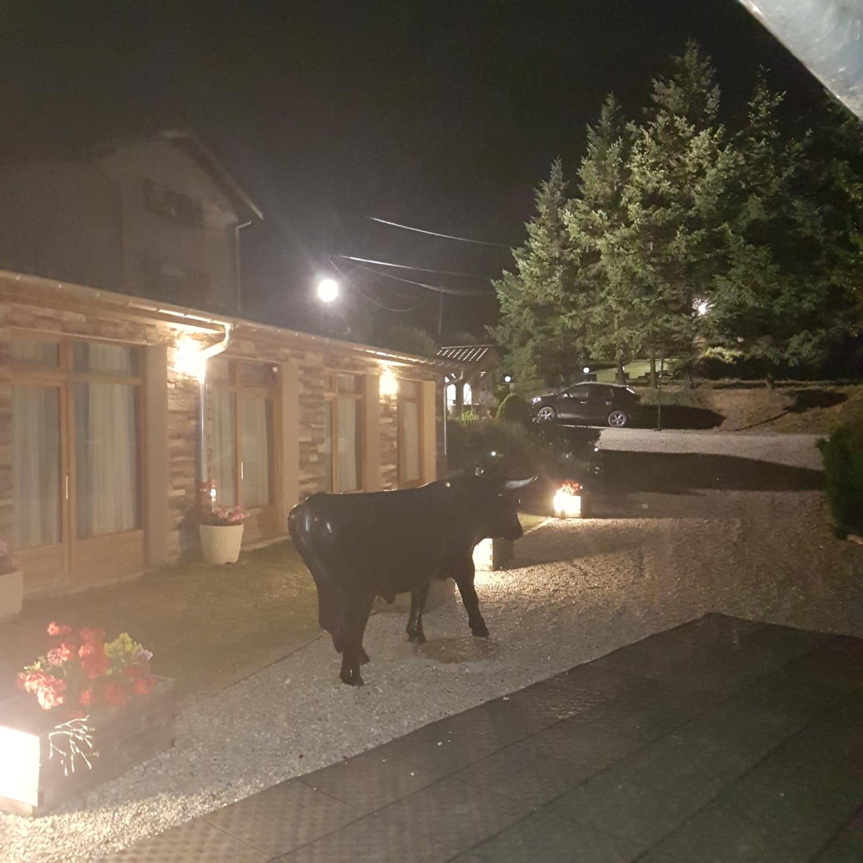 outdoor BBQ area