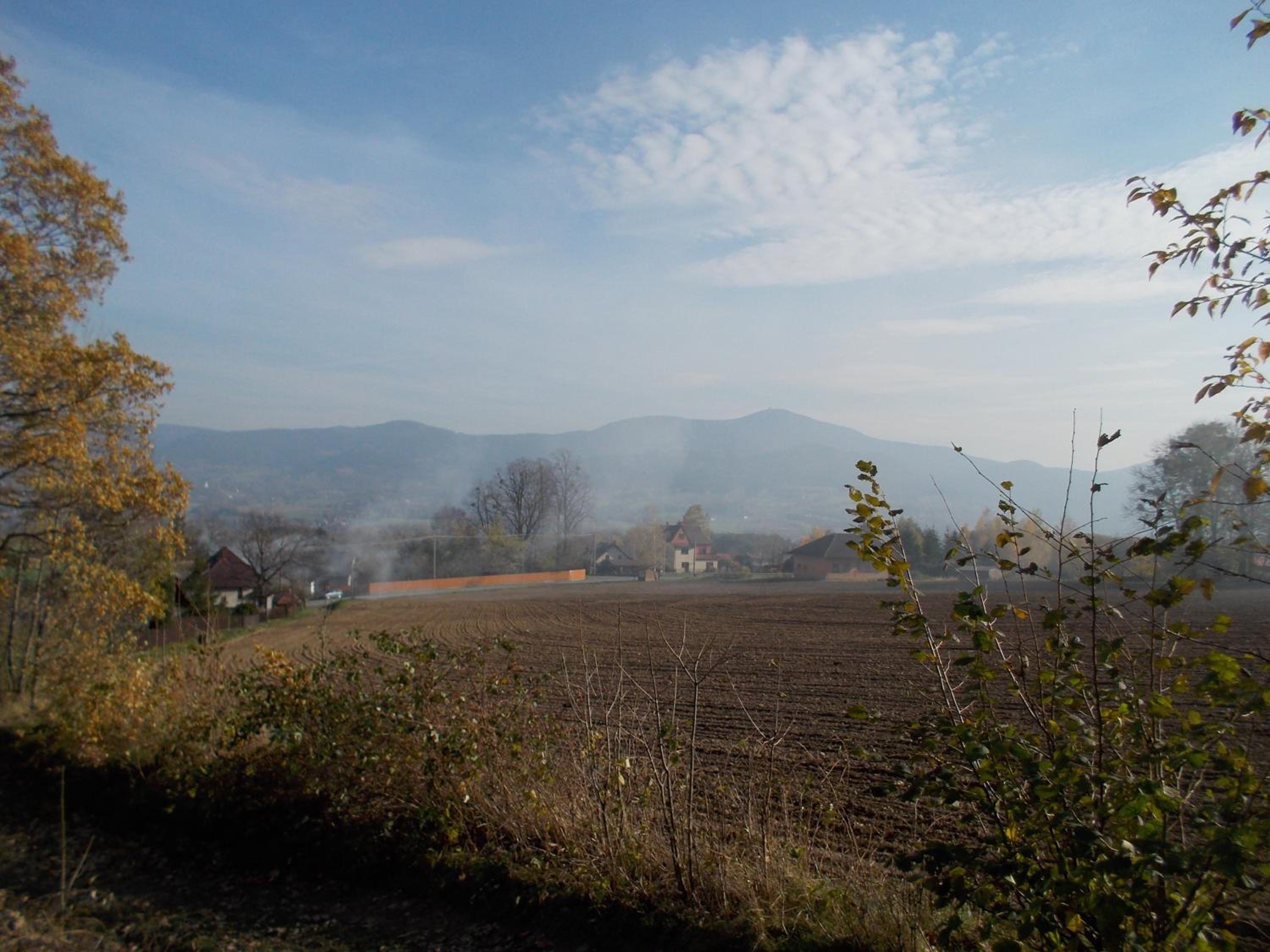 Photo 24