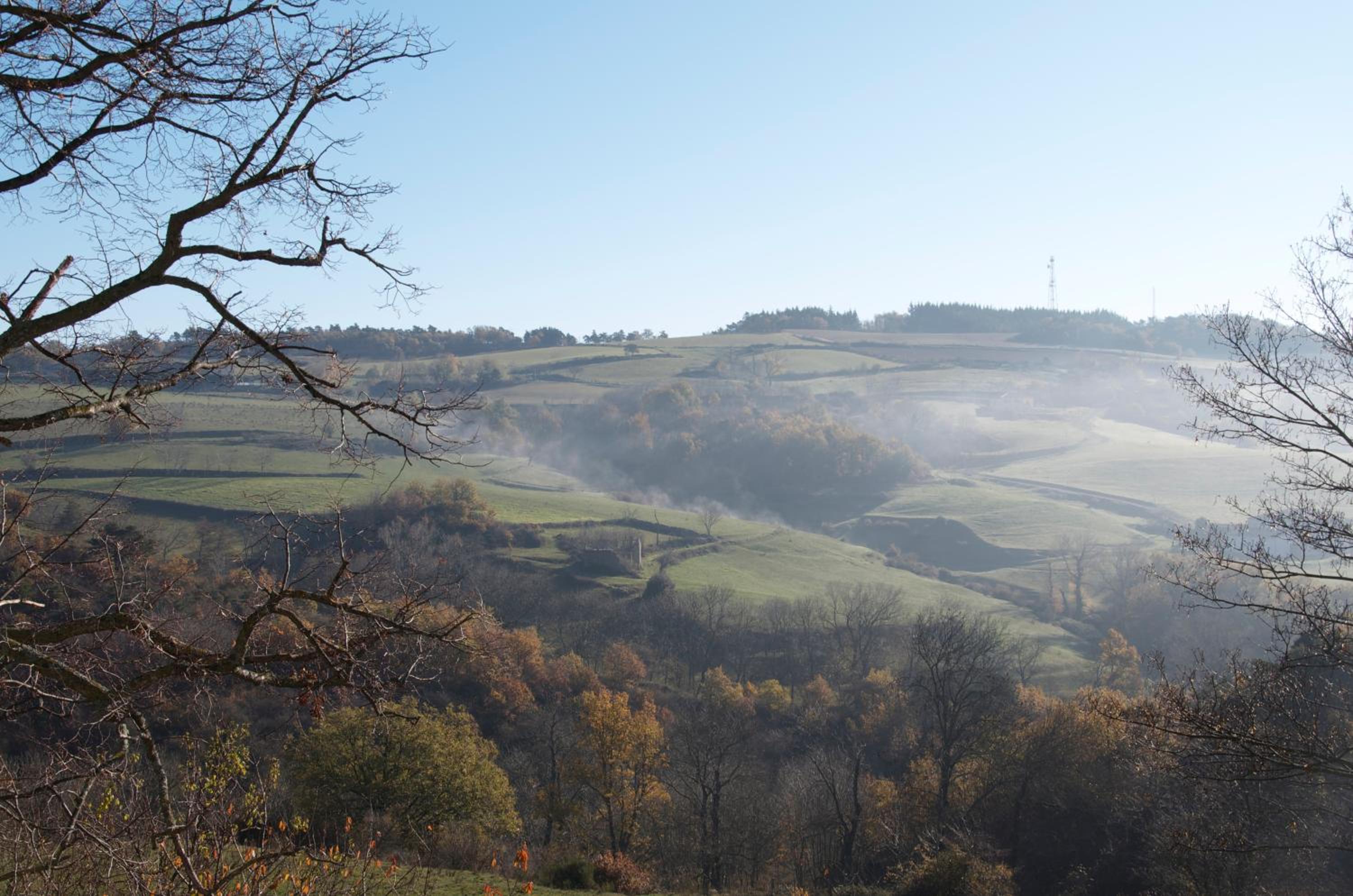 Gites Le Chêne & Le Tilleul view 4