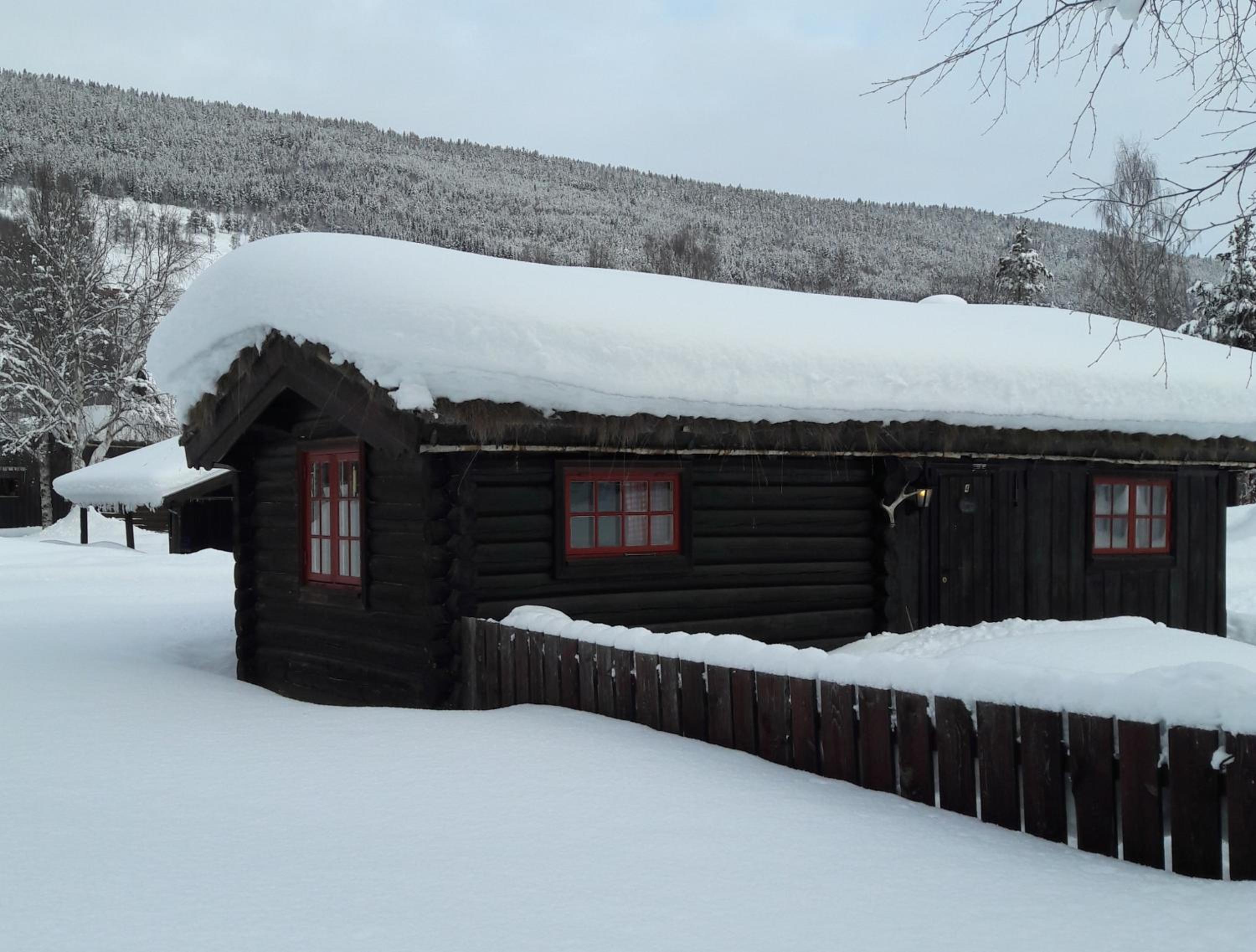 Photo 41