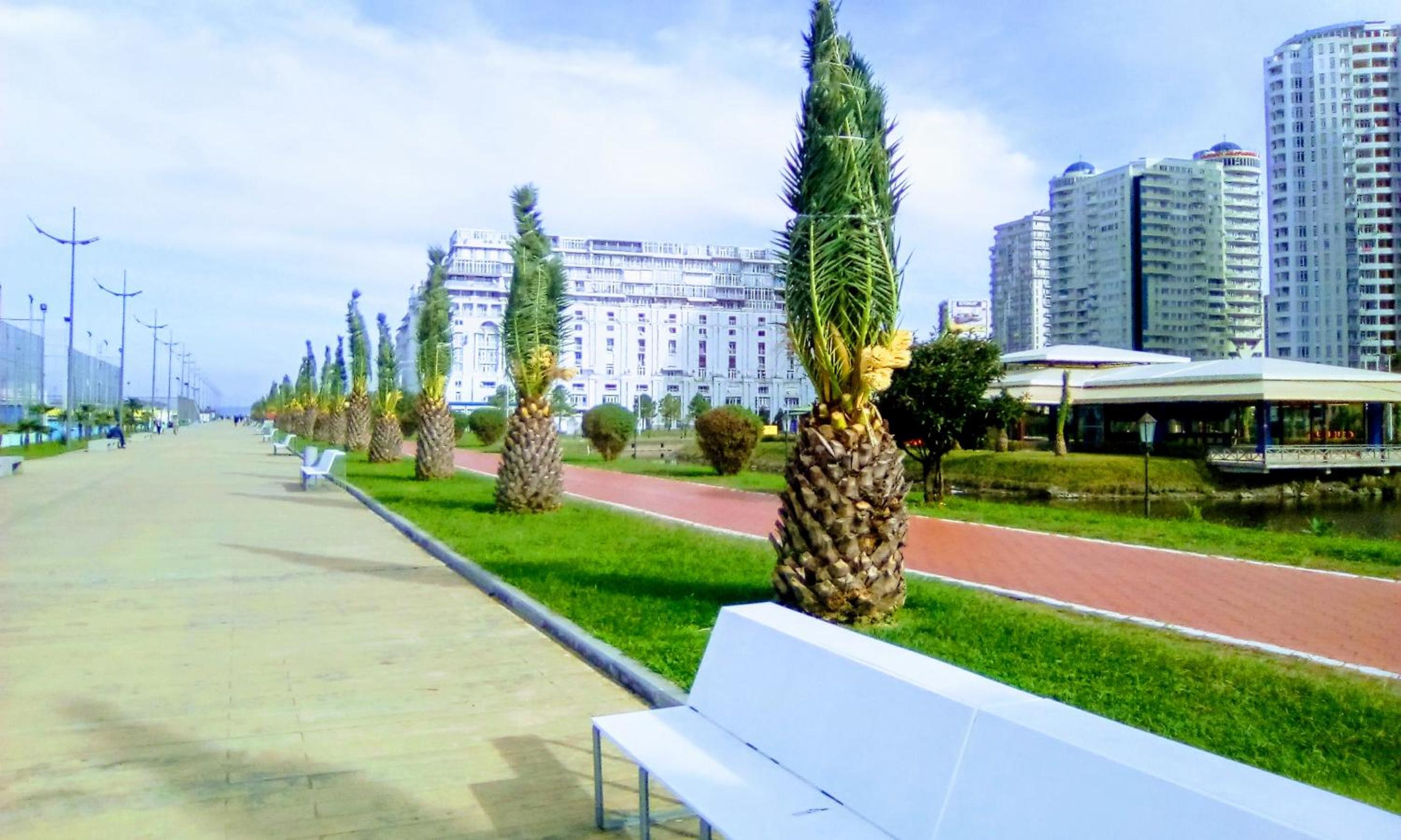 Photo 9