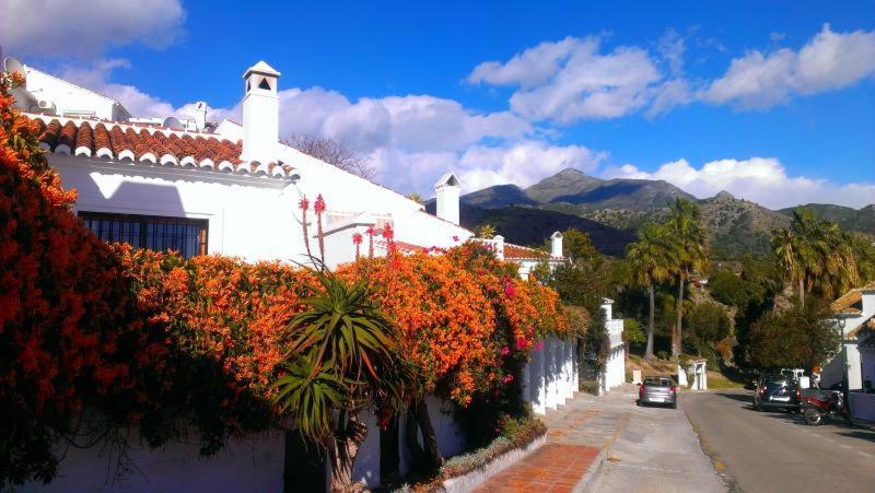 1 Bed Traditional Holiday Rental Cottage Oasis Capistrano Nerja Spain photo 3