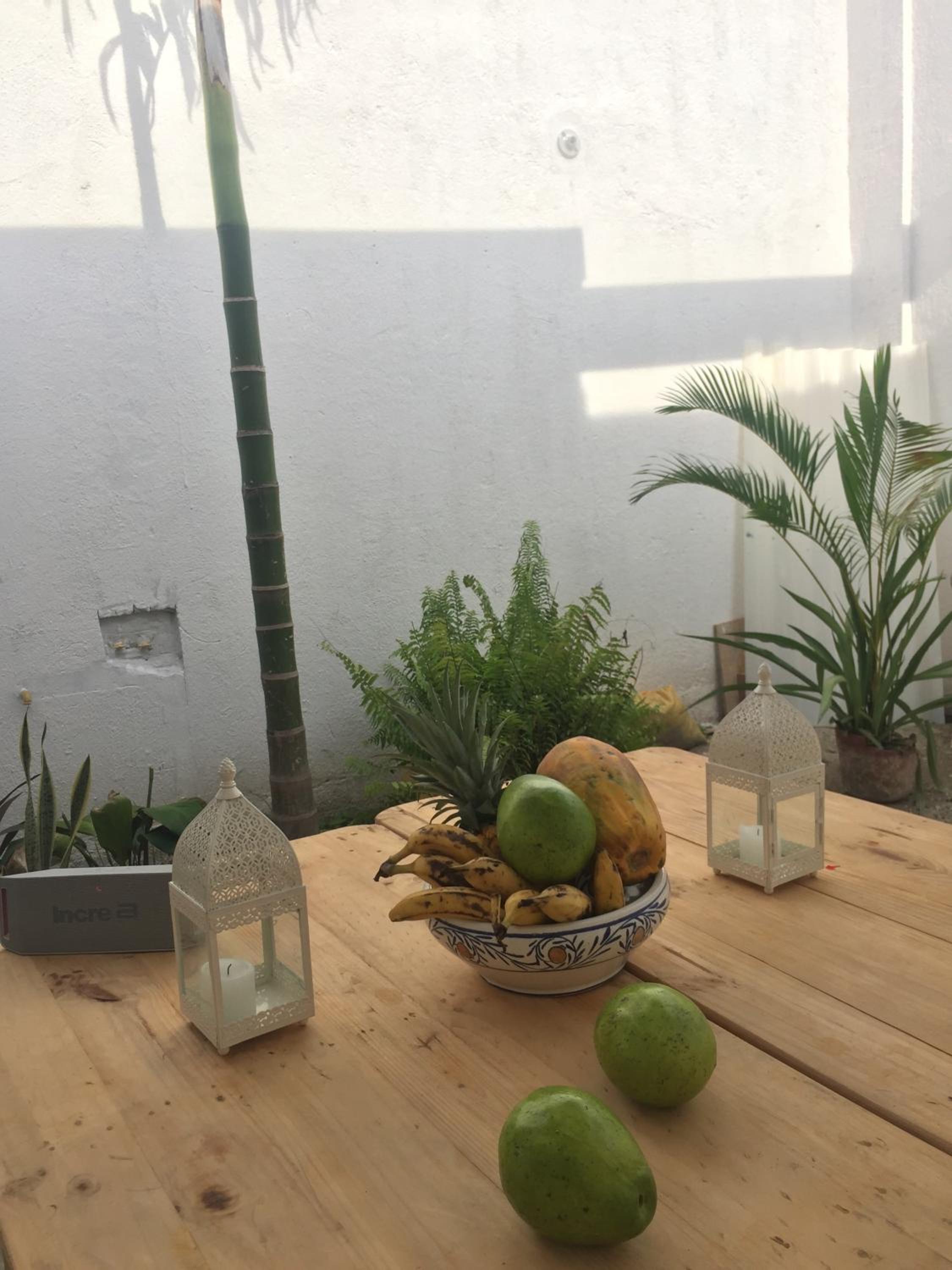 Casa de la tierra