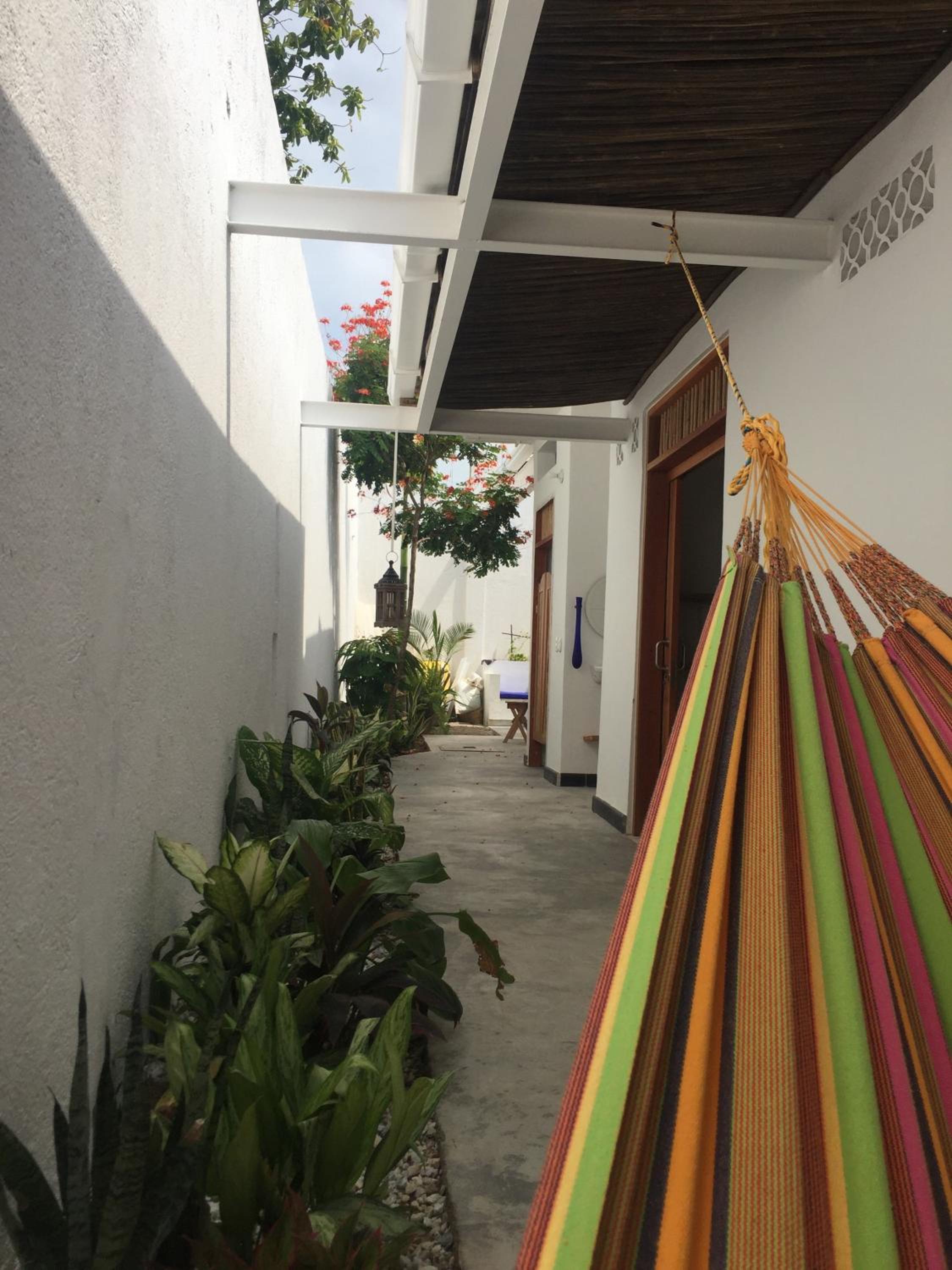 Casa de la tierra