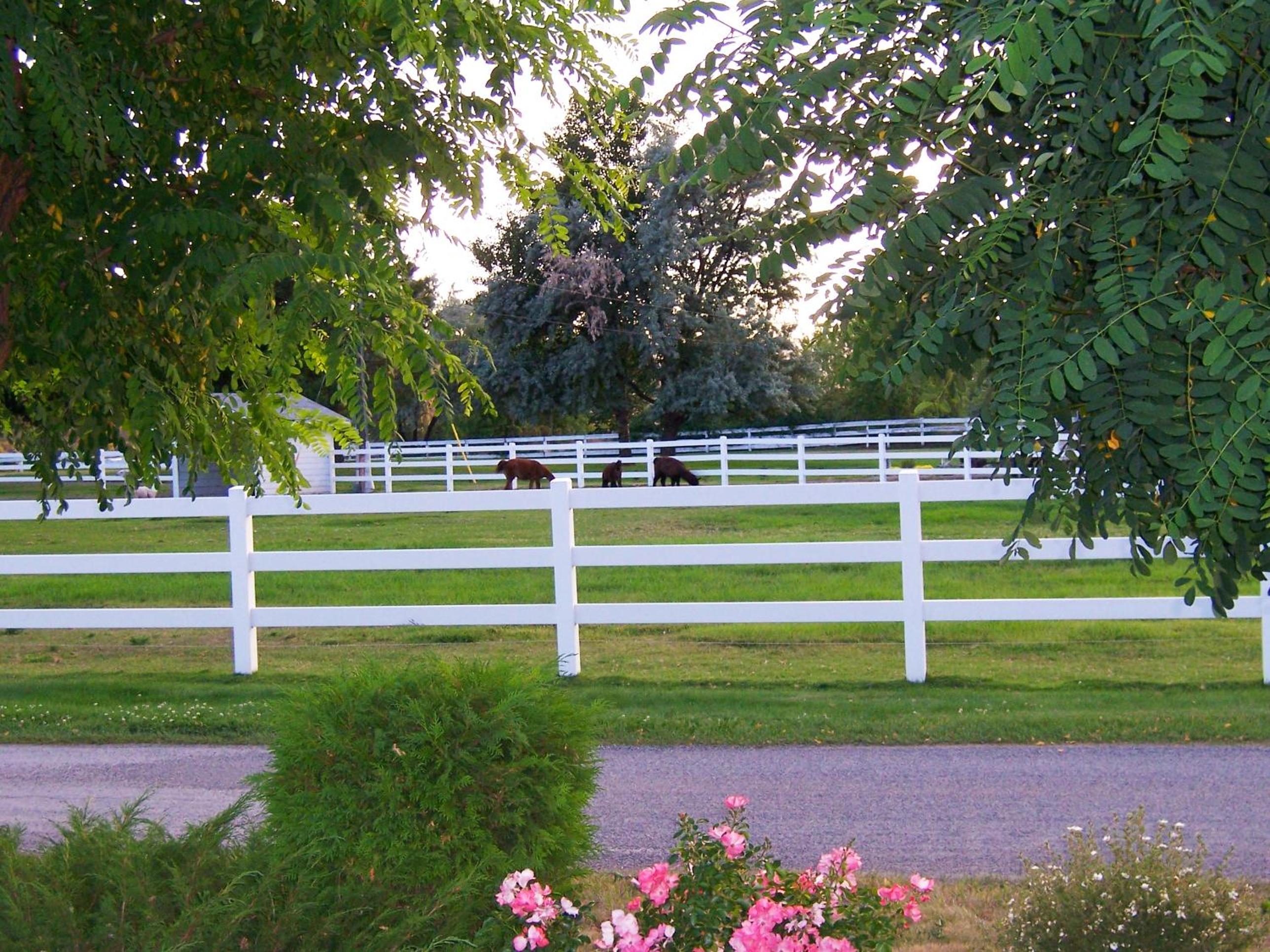 South Thompson Inn & Conference Centre 75