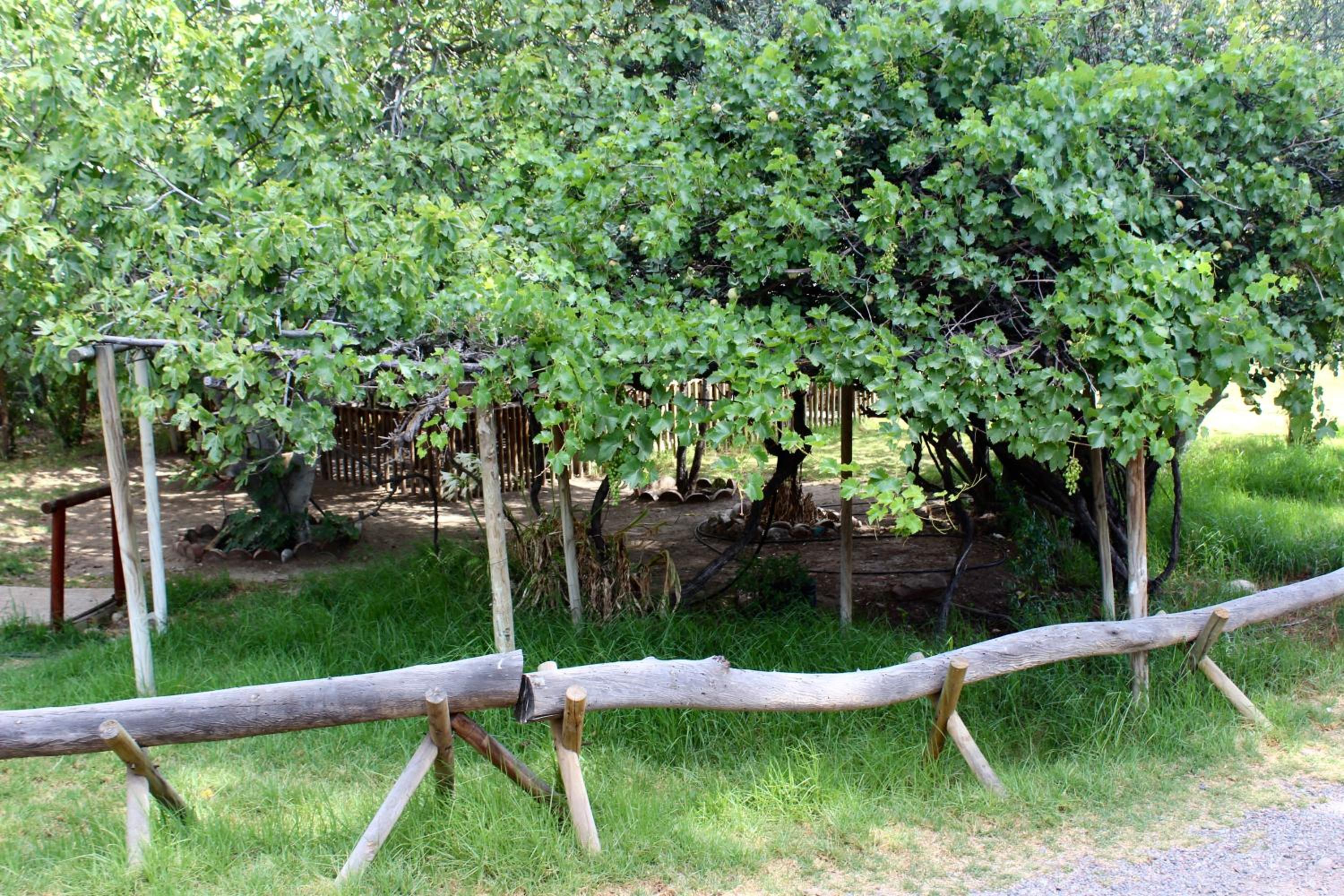 Cabañas Licanantay