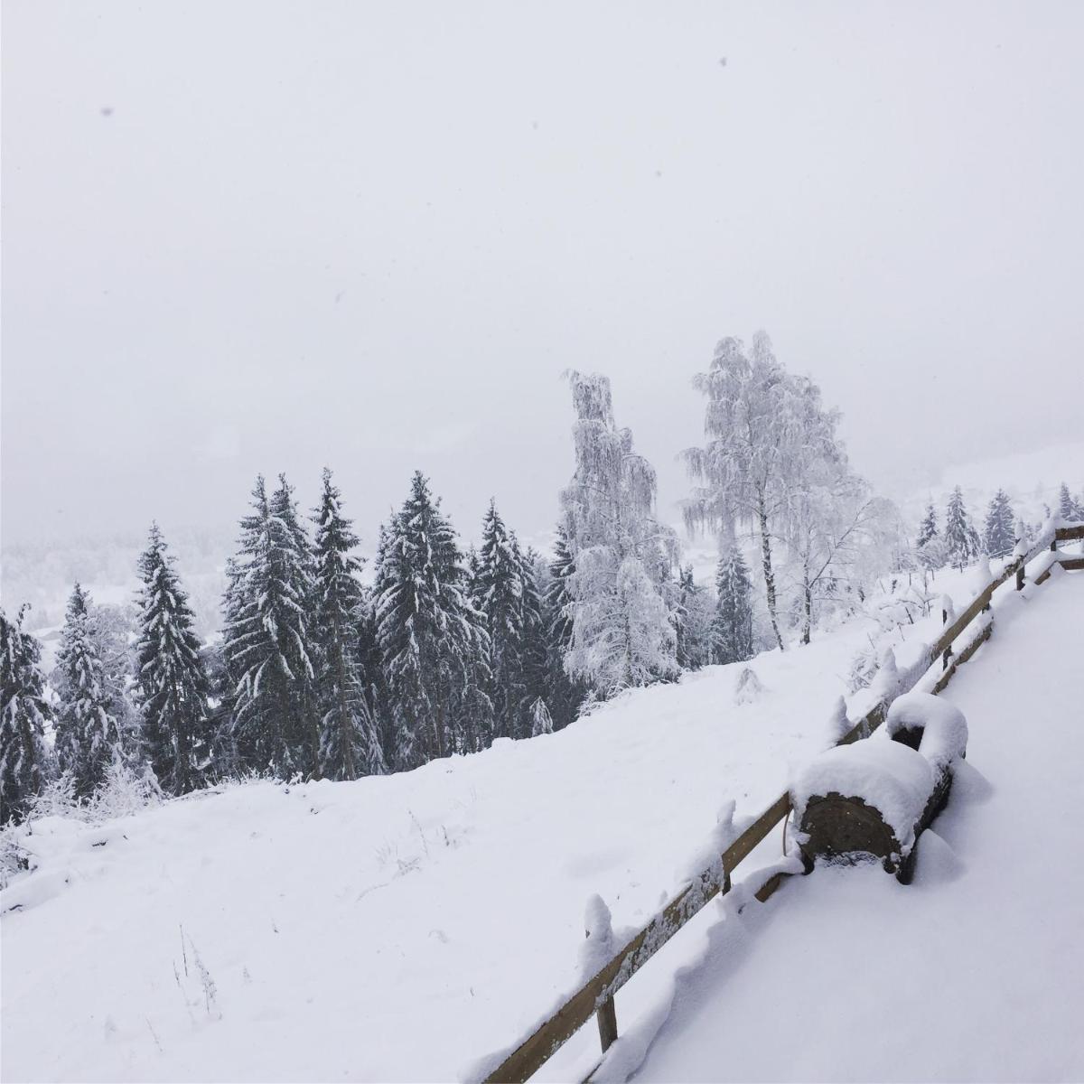 Reinwalds Almhütte
