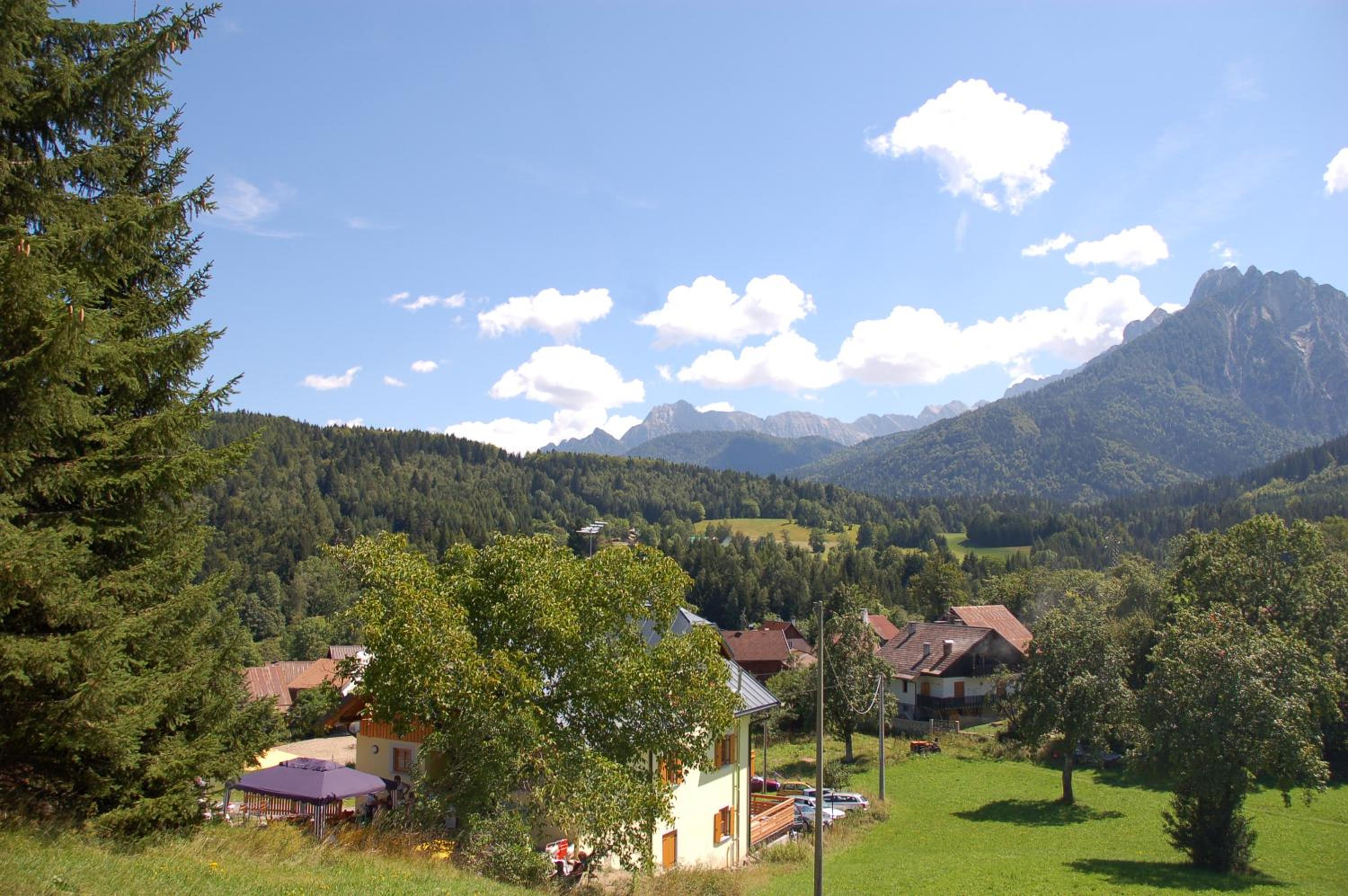 Photo 22