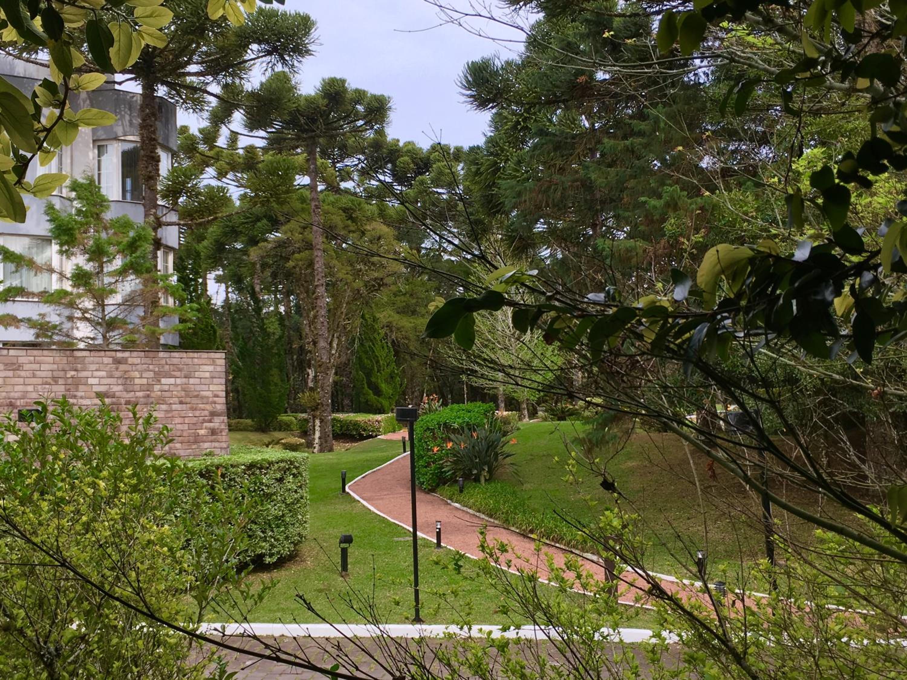 Flat Mountain Village Luxo e Conforto na Serra