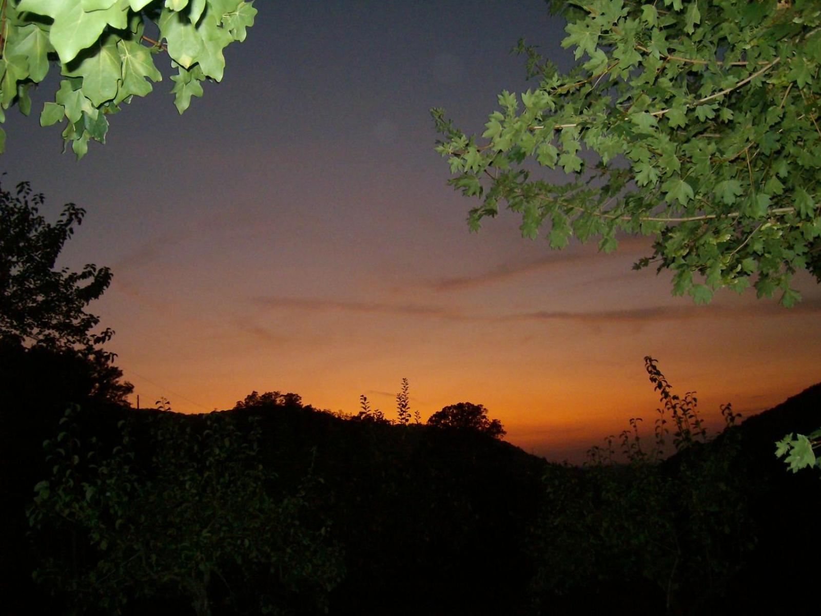 Photo 89