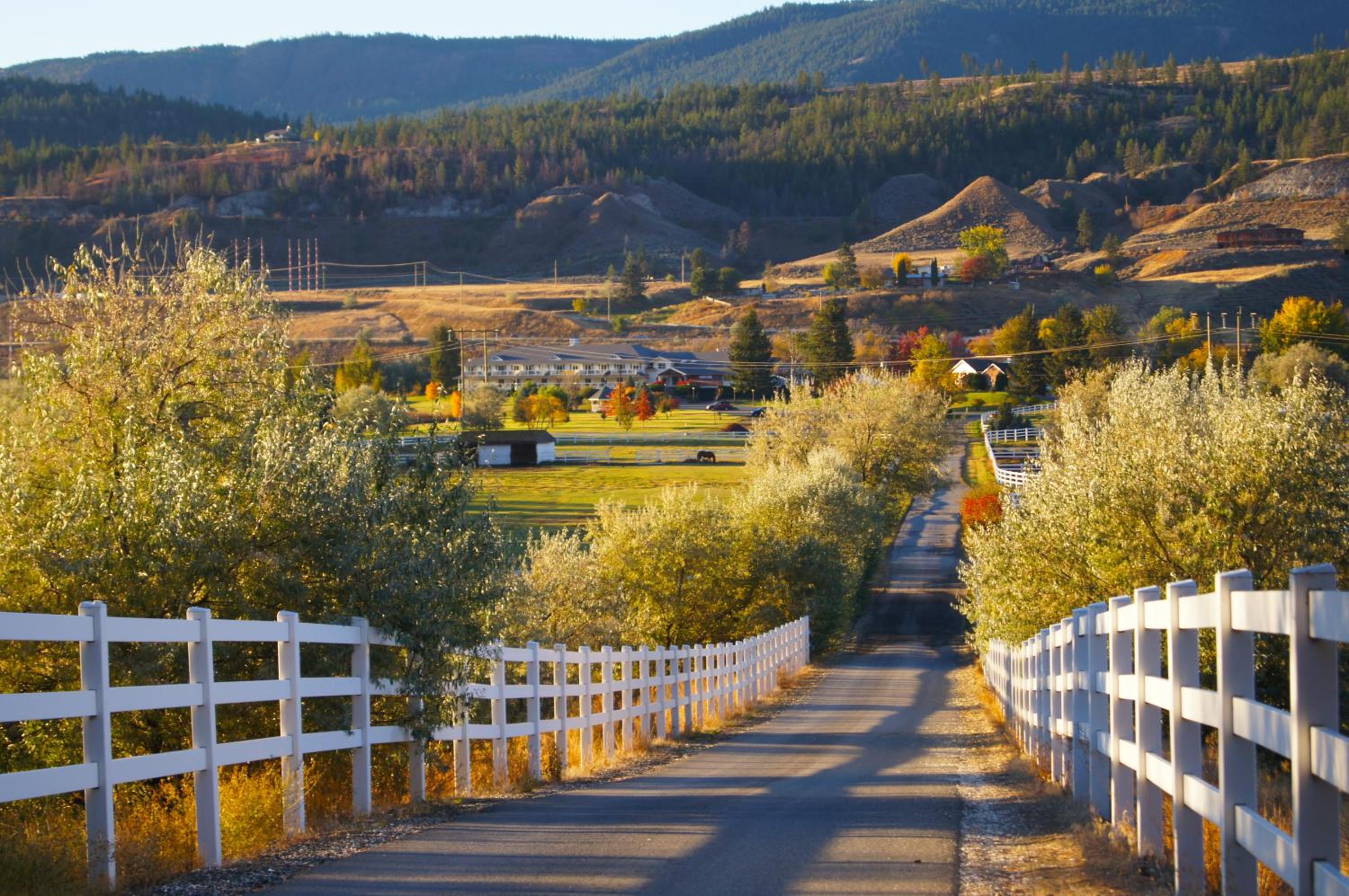 South Thompson Inn & Conference Centre 91