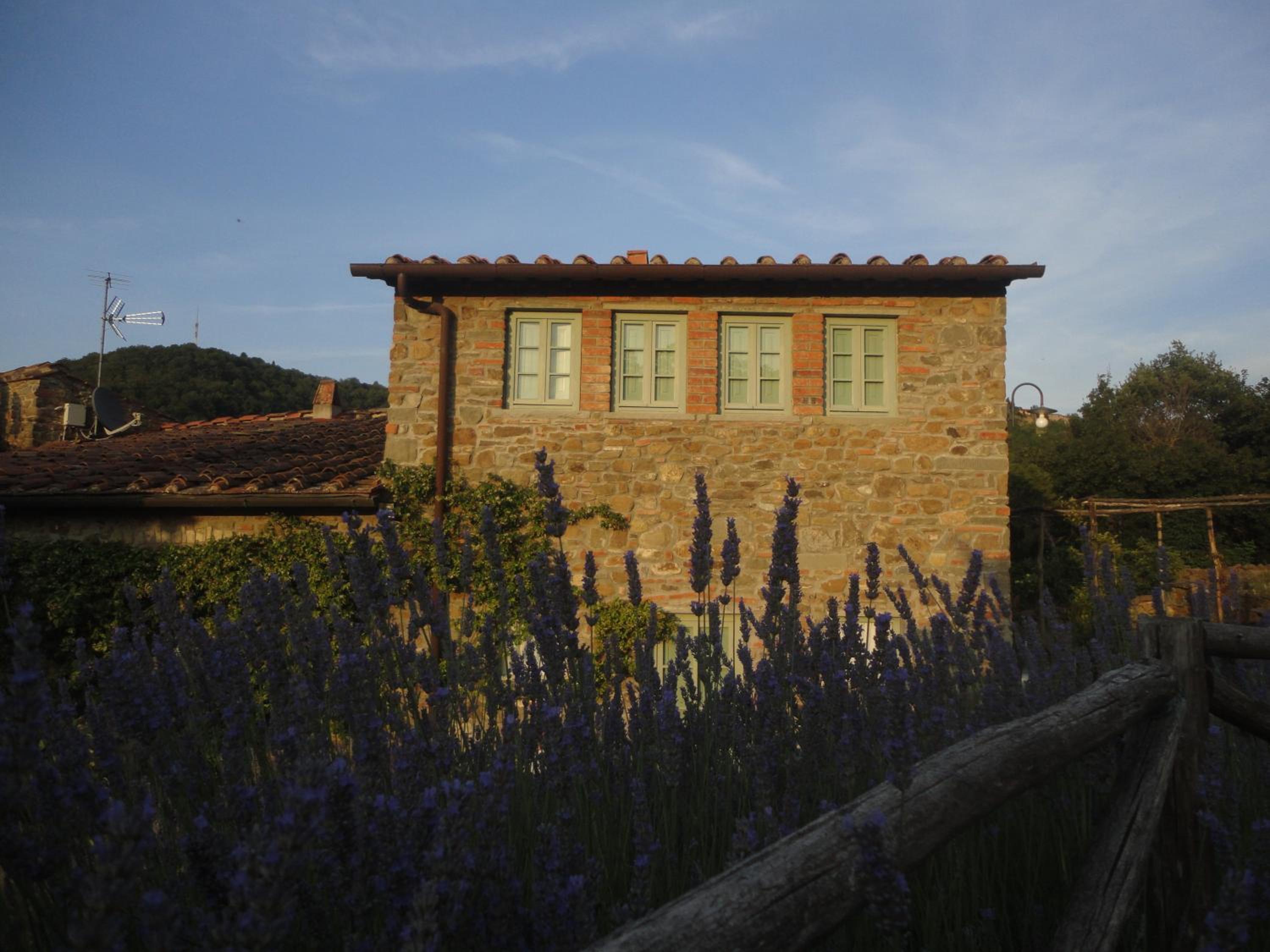 Photo 21