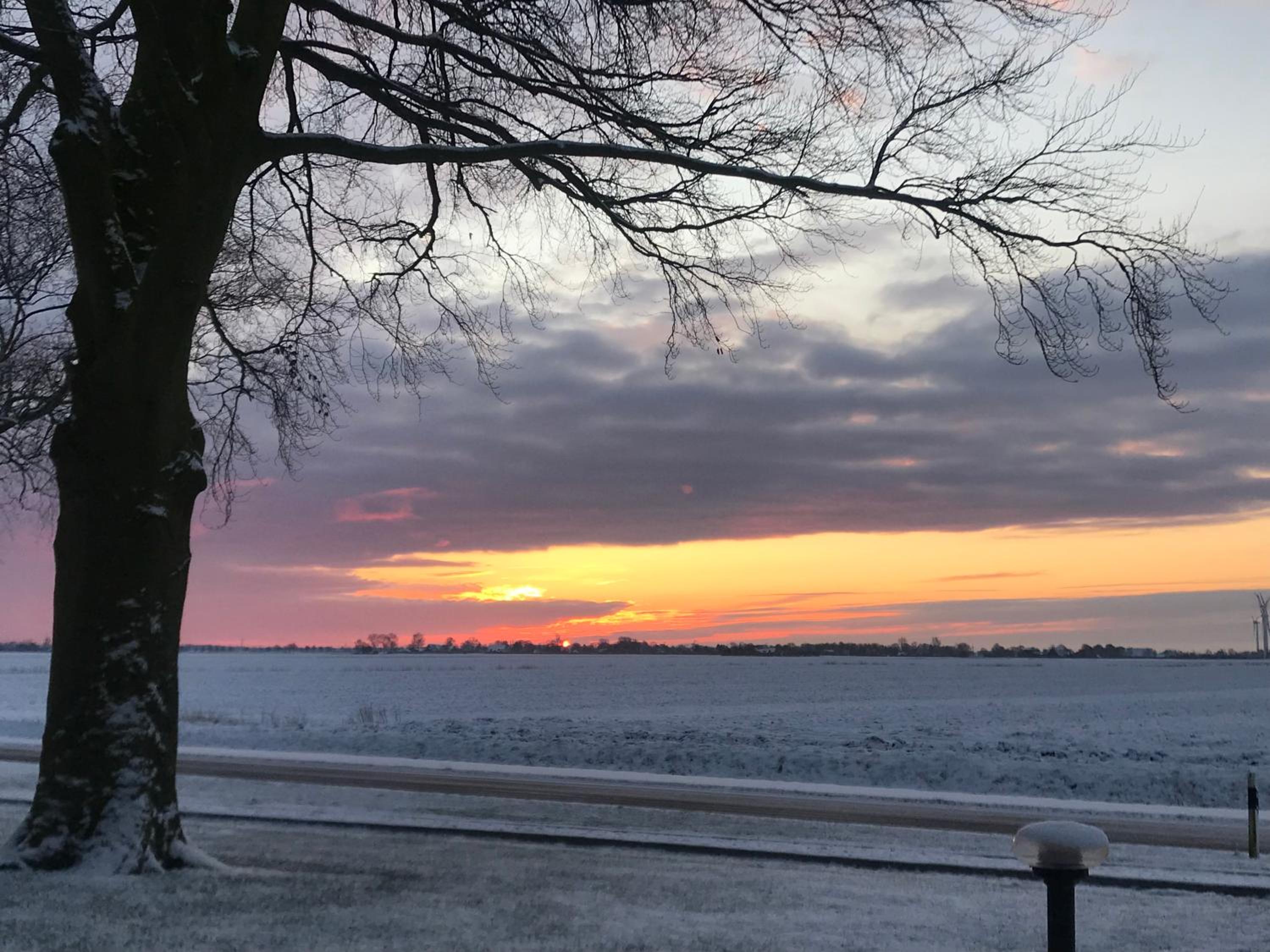 Elbe Ferienwohnung Glückstadt