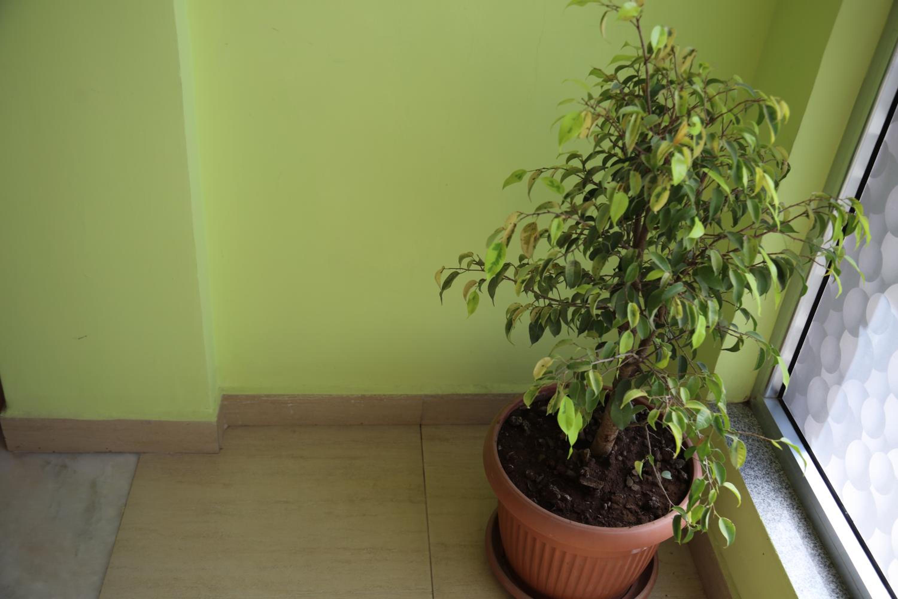 Photo 28