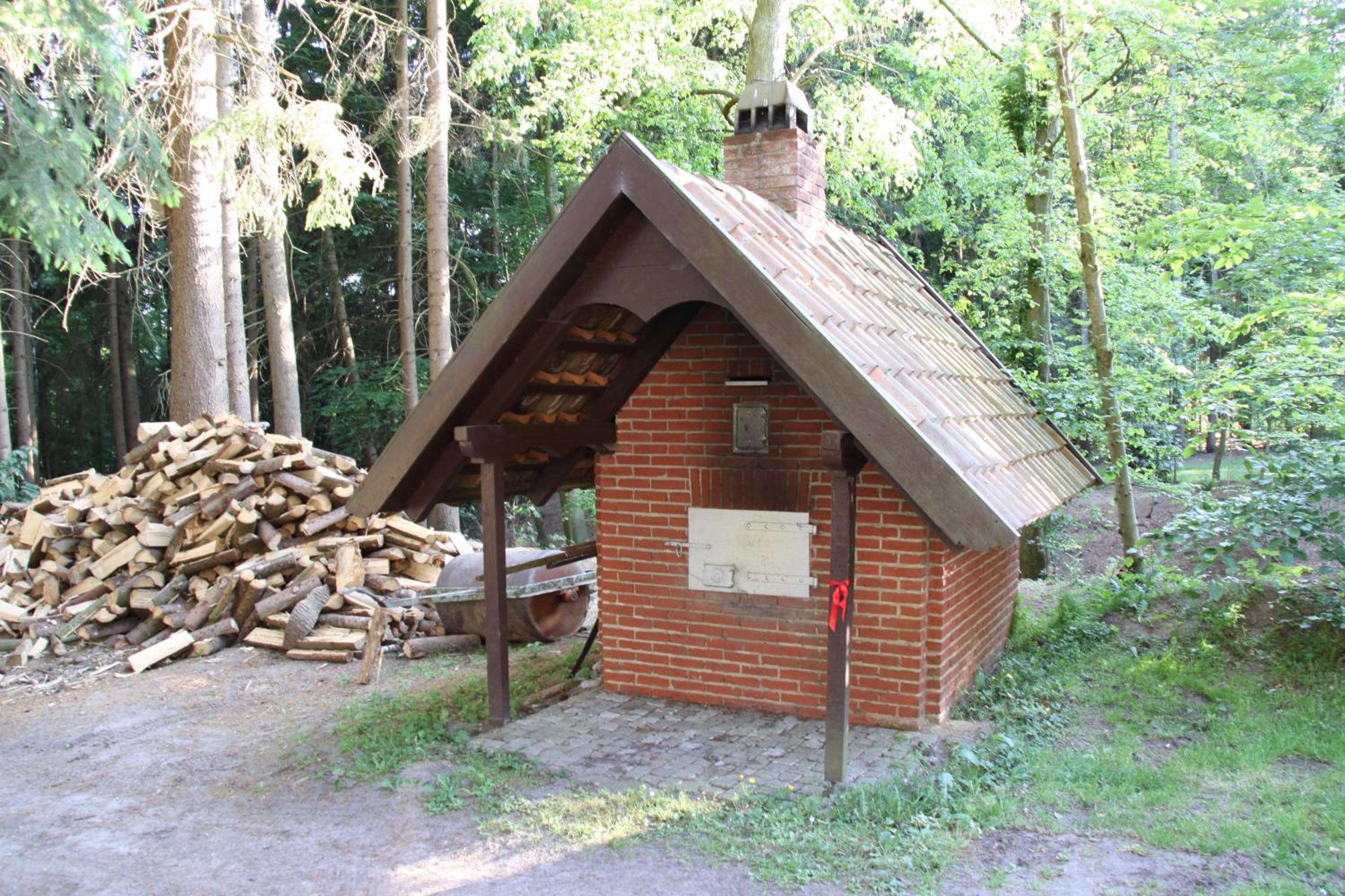 Photo 6