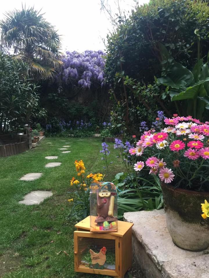garden